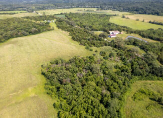20± Acres – Lucas County, Iowa Building Site • Hunting Opportunity • Near Public Access