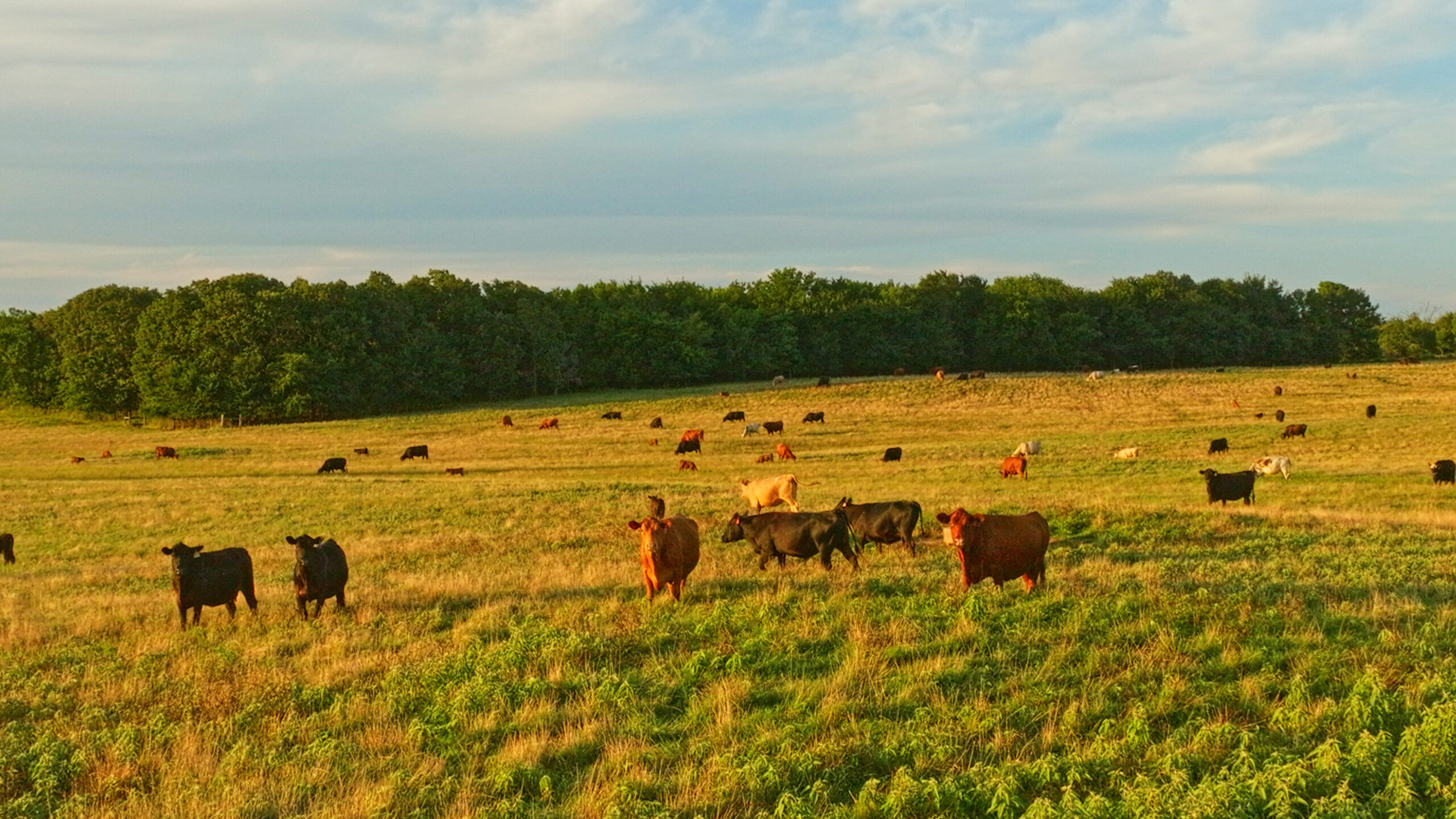 5042 +\- acre Haskell County ranch in Oklahoma