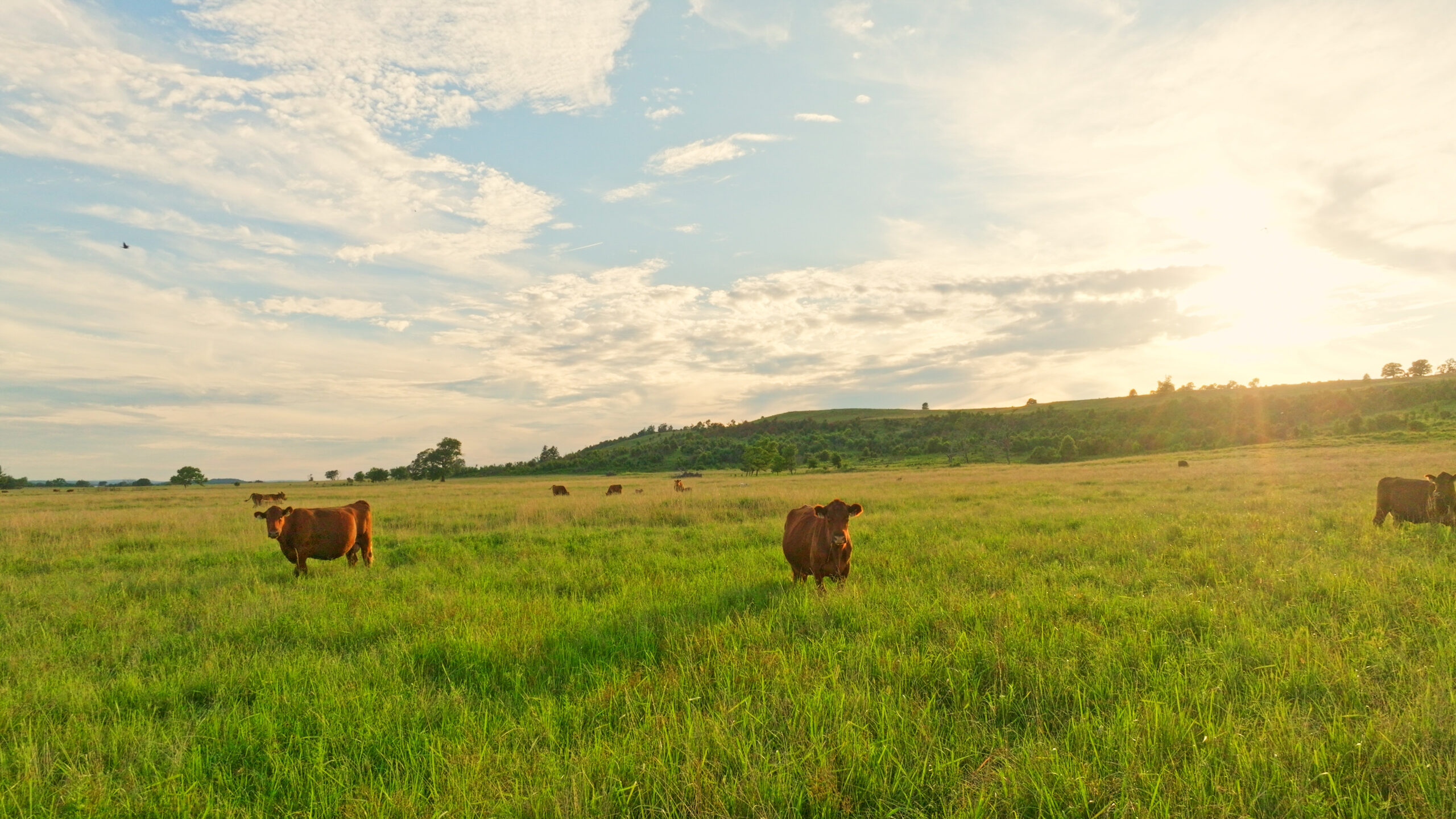 5042 +\- acre Haskell County ranch in Oklahoma