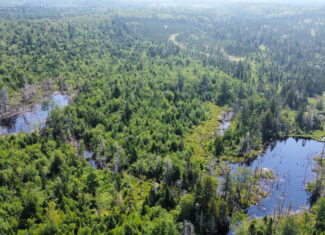 Large 129 Acre Parcel with Potential