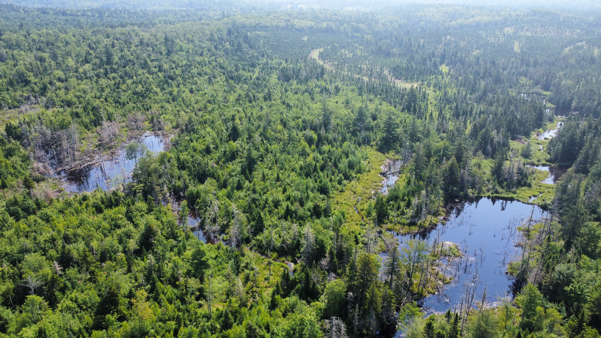 Large 129 Acre Parcel with Potential