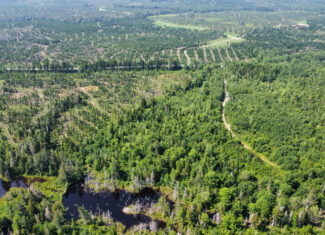 Large 129 Acre Parcel with Potential