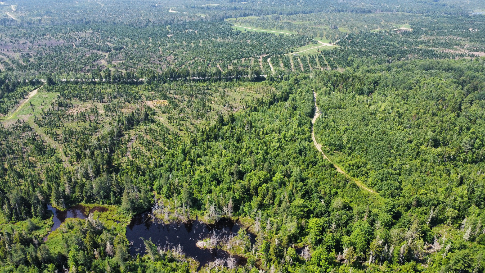 Large 129 Acre Parcel with Potential