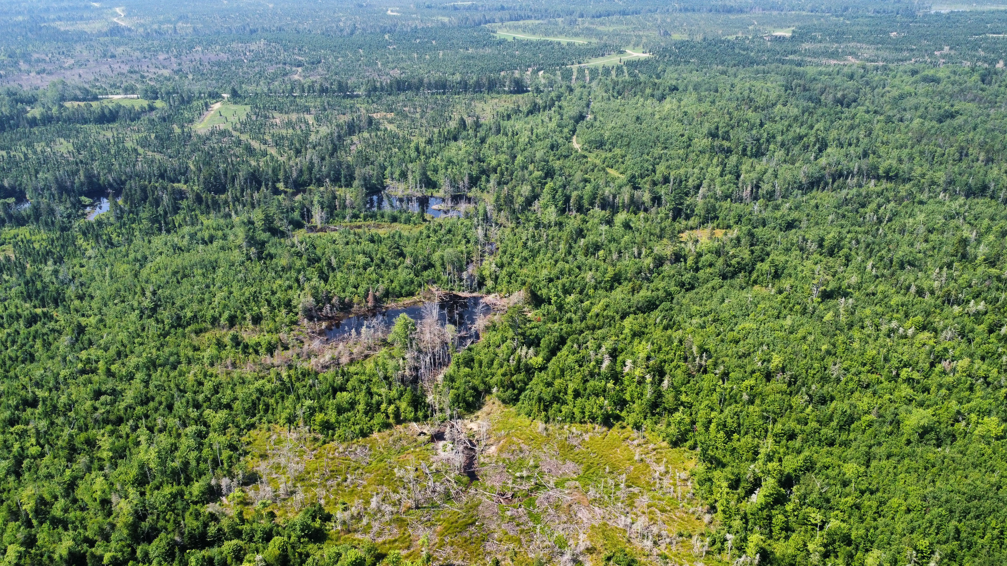 Large 129 Acre Parcel with Potential
