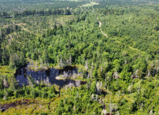 Large 129 Acre Parcel with Potential