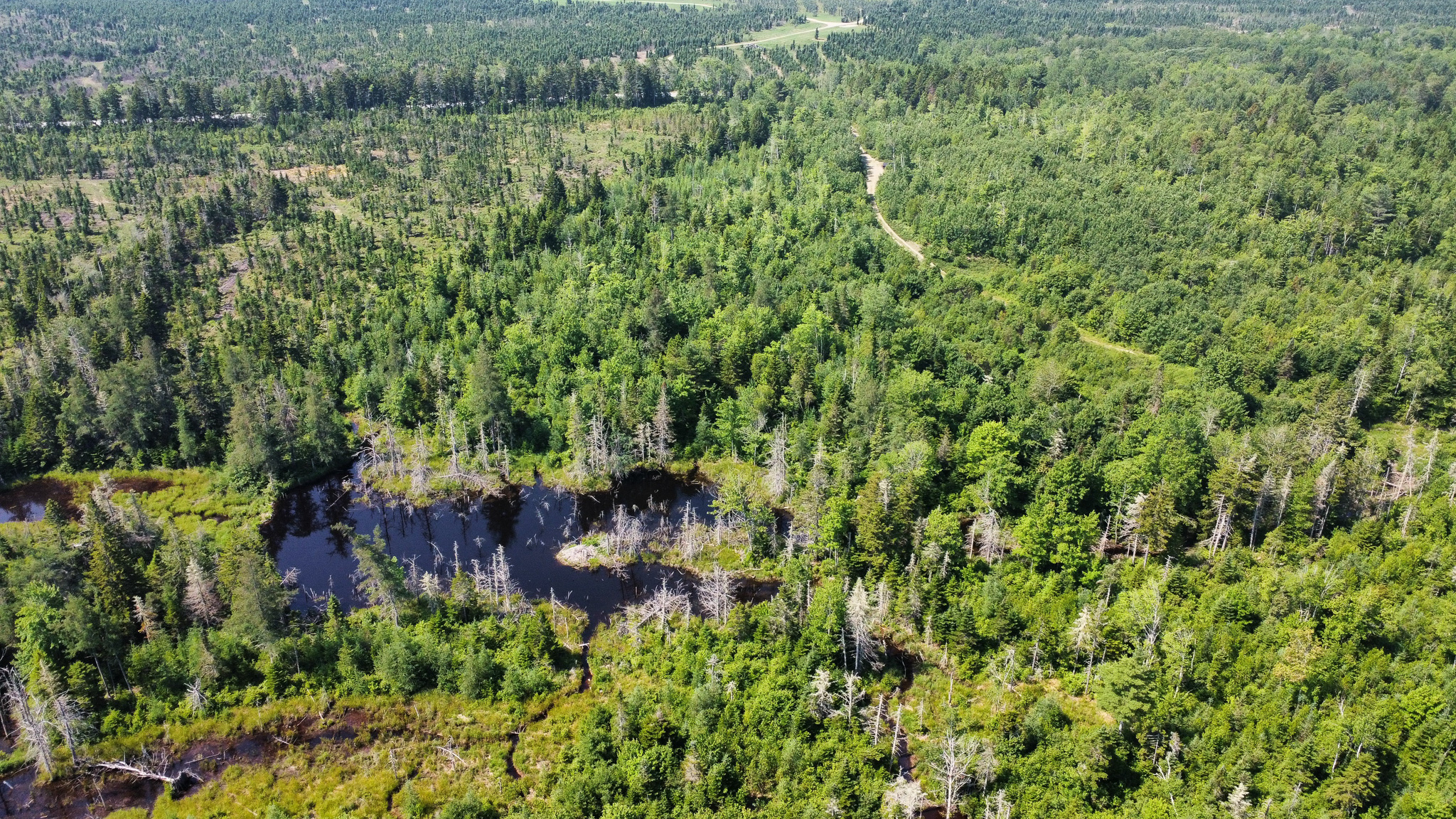 Large 129 Acre Parcel with Potential