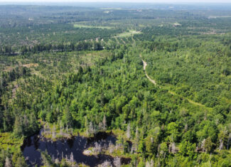 Large 129 Acre Parcel with Potential