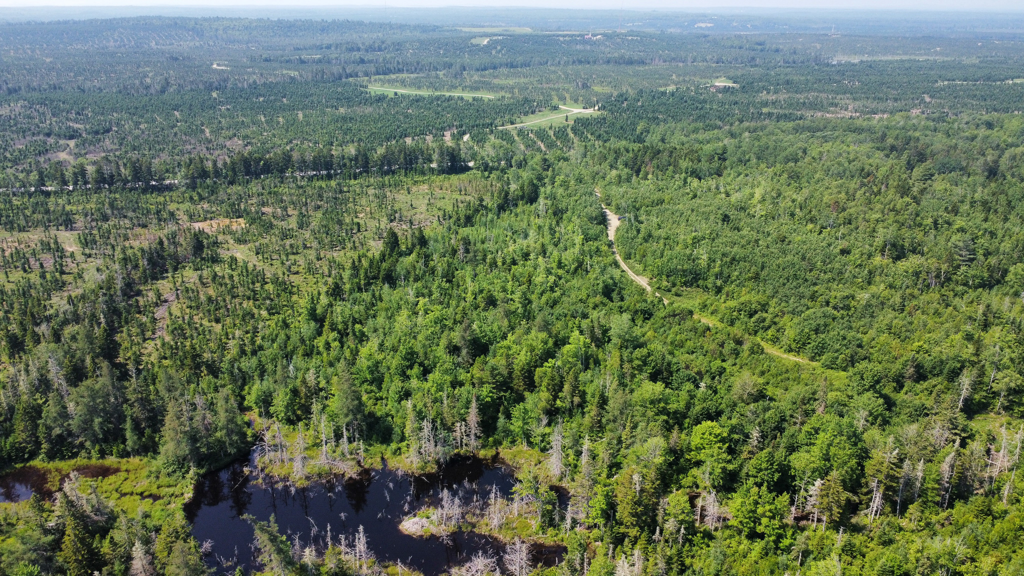 Large 129 Acre Parcel with Potential