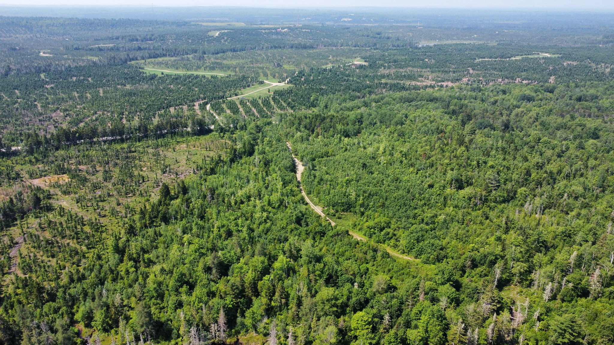 Large 129 Acre Parcel with Potential