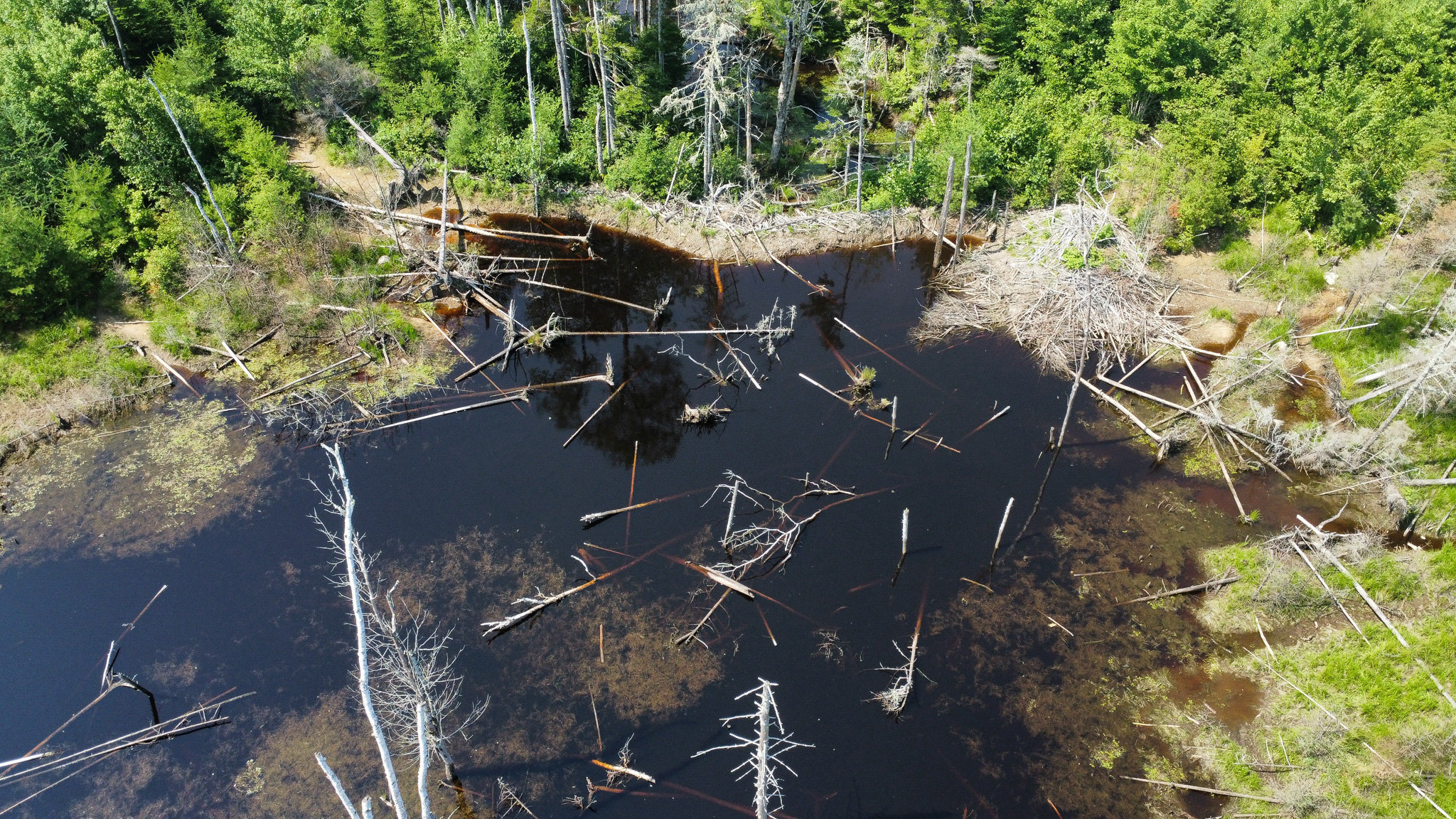 Large 129 Acre Parcel with Potential