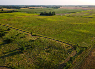 200+/- Acre Recreational & Agricultural Property | Pratt County, Kansas – Unit 16 Trophy Whitetail Country