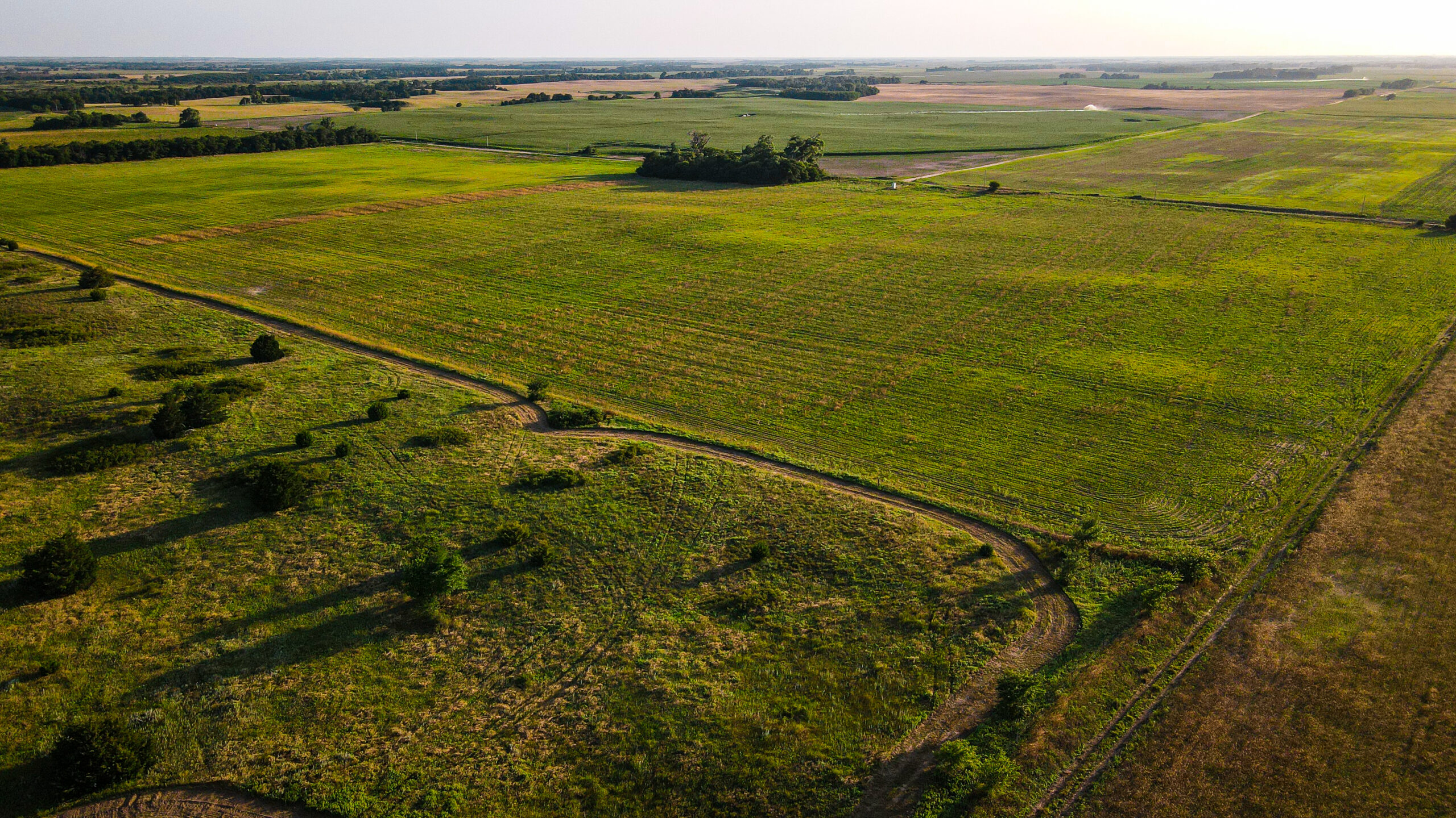 200+/- Acre Recreational & Agricultural Property | Pratt County, Kansas – Unit 16 Trophy Whitetail Country