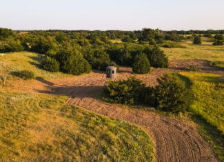 200+/- Acre Recreational & Agricultural Property | Pratt County, Kansas – Unit 16 Trophy Whitetail Country