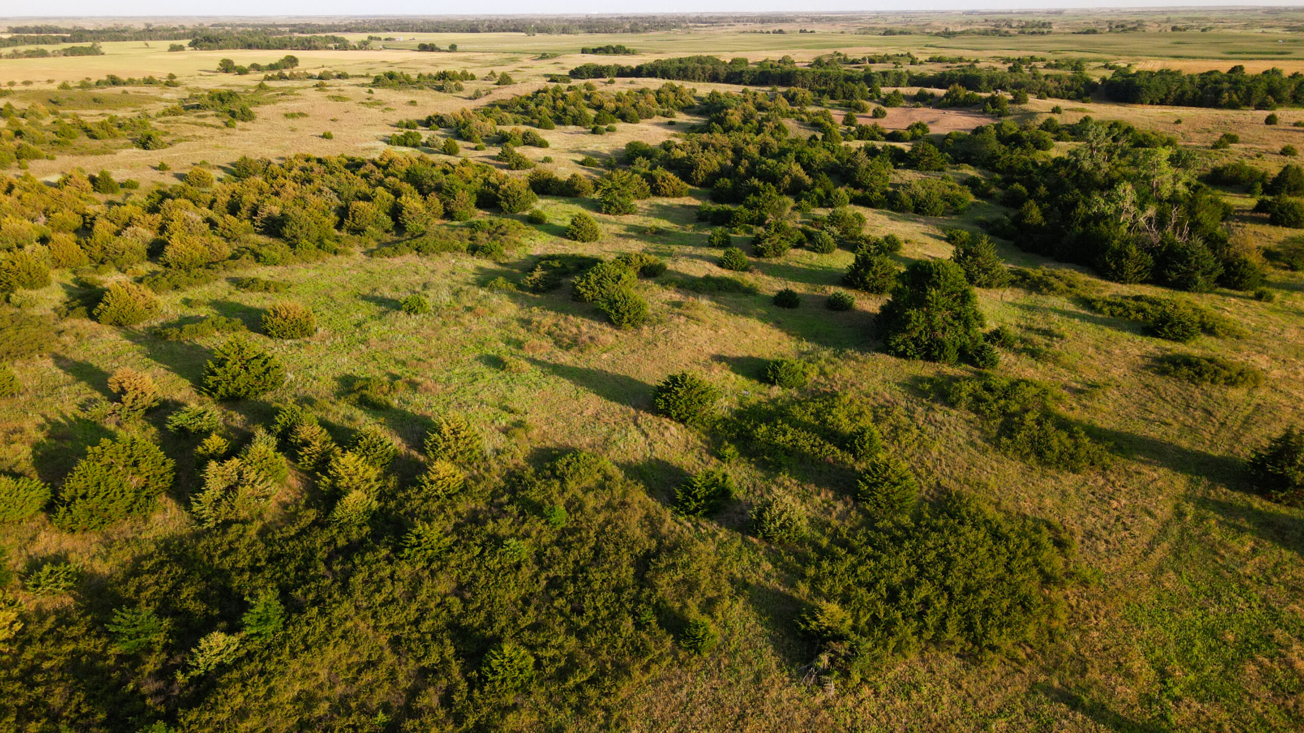 200+/- Acre Recreational & Agricultural Property | Pratt County, Kansas – Unit 16 Trophy Whitetail Country