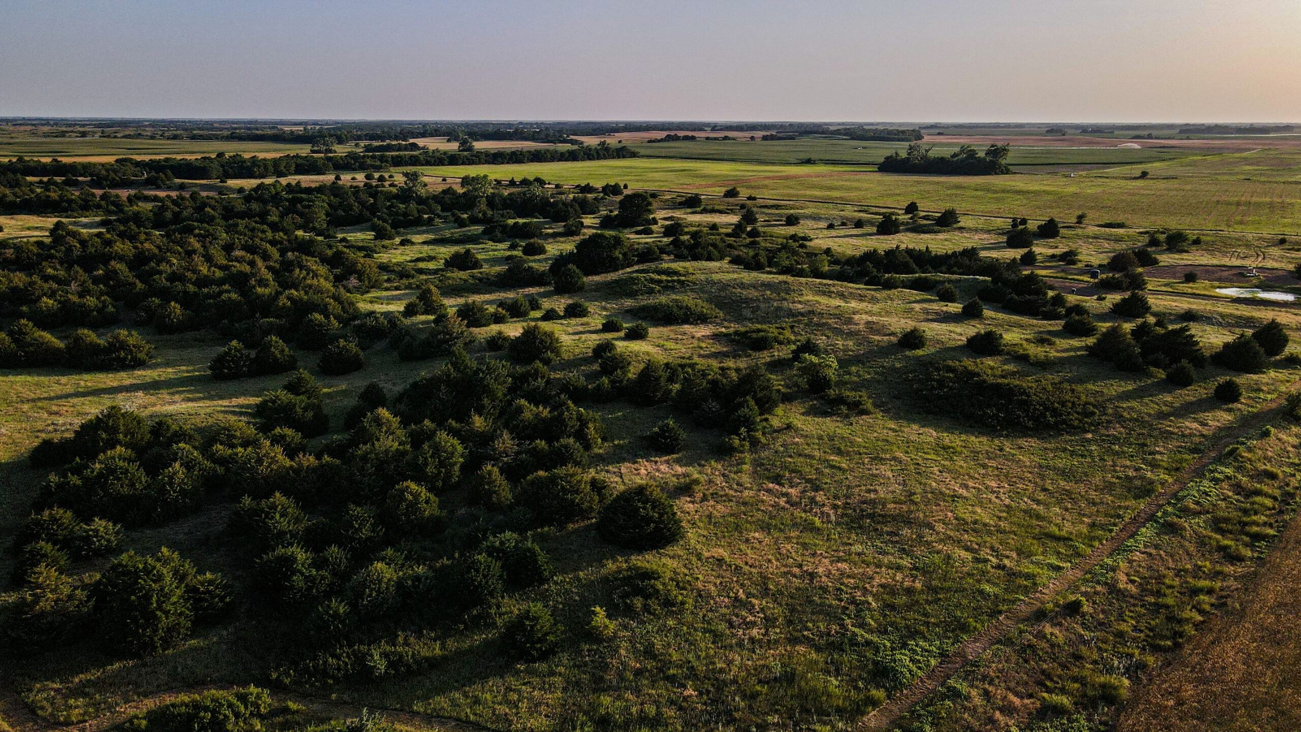 200+/- Acre Recreational & Agricultural Property | Pratt County, Kansas – Unit 16 Trophy Whitetail Country