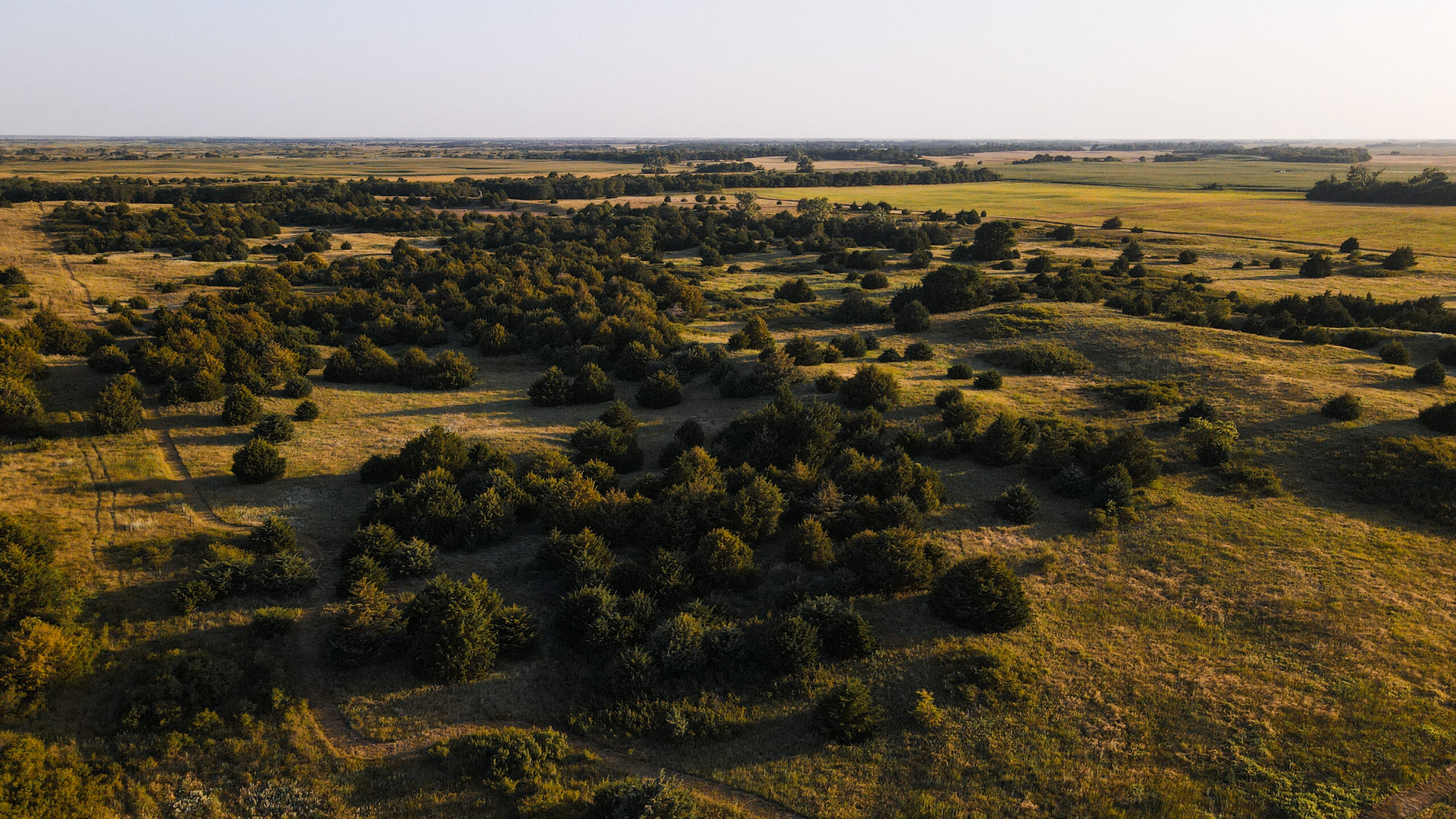 200+/- Acre Recreational & Agricultural Property | Pratt County, Kansas – Unit 16 Trophy Whitetail Country