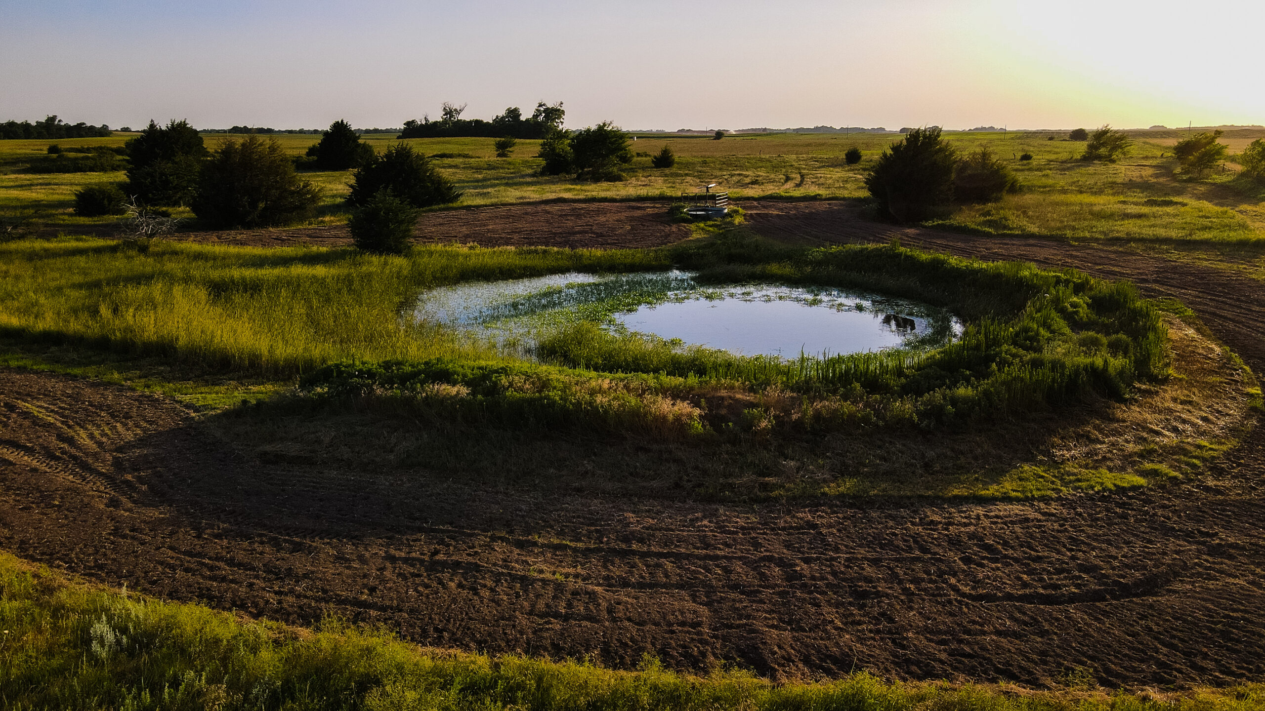 200+/- Acre Recreational & Agricultural Property | Pratt County, Kansas – Unit 16 Trophy Whitetail Country