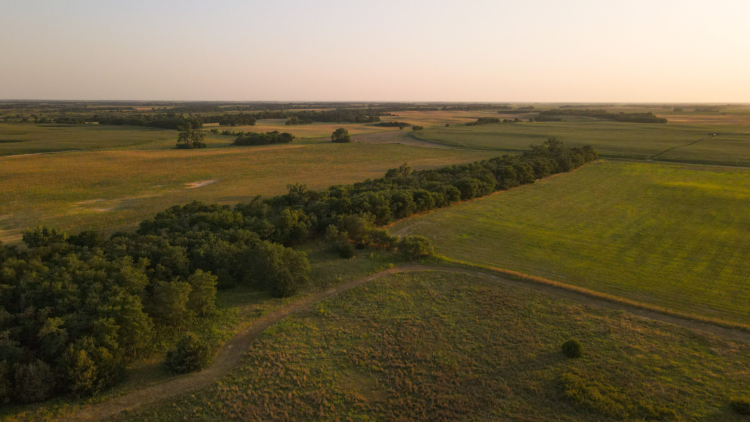 200+/- Acre Recreational & Agricultural Property | Pratt County, Kansas – Unit 16 Trophy Whitetail Country