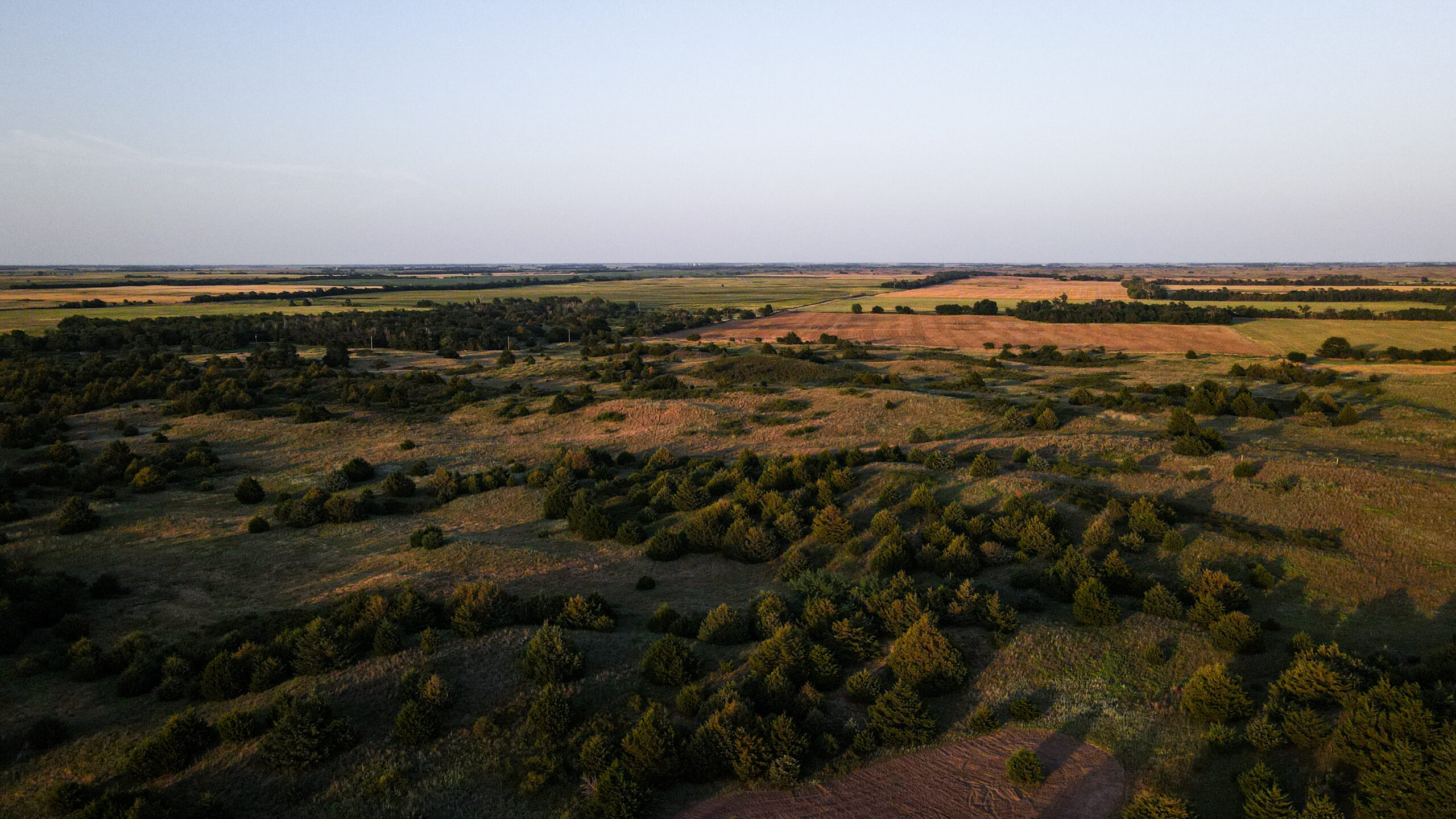 200+/- Acre Recreational & Agricultural Property | Pratt County, Kansas – Unit 16 Trophy Whitetail Country