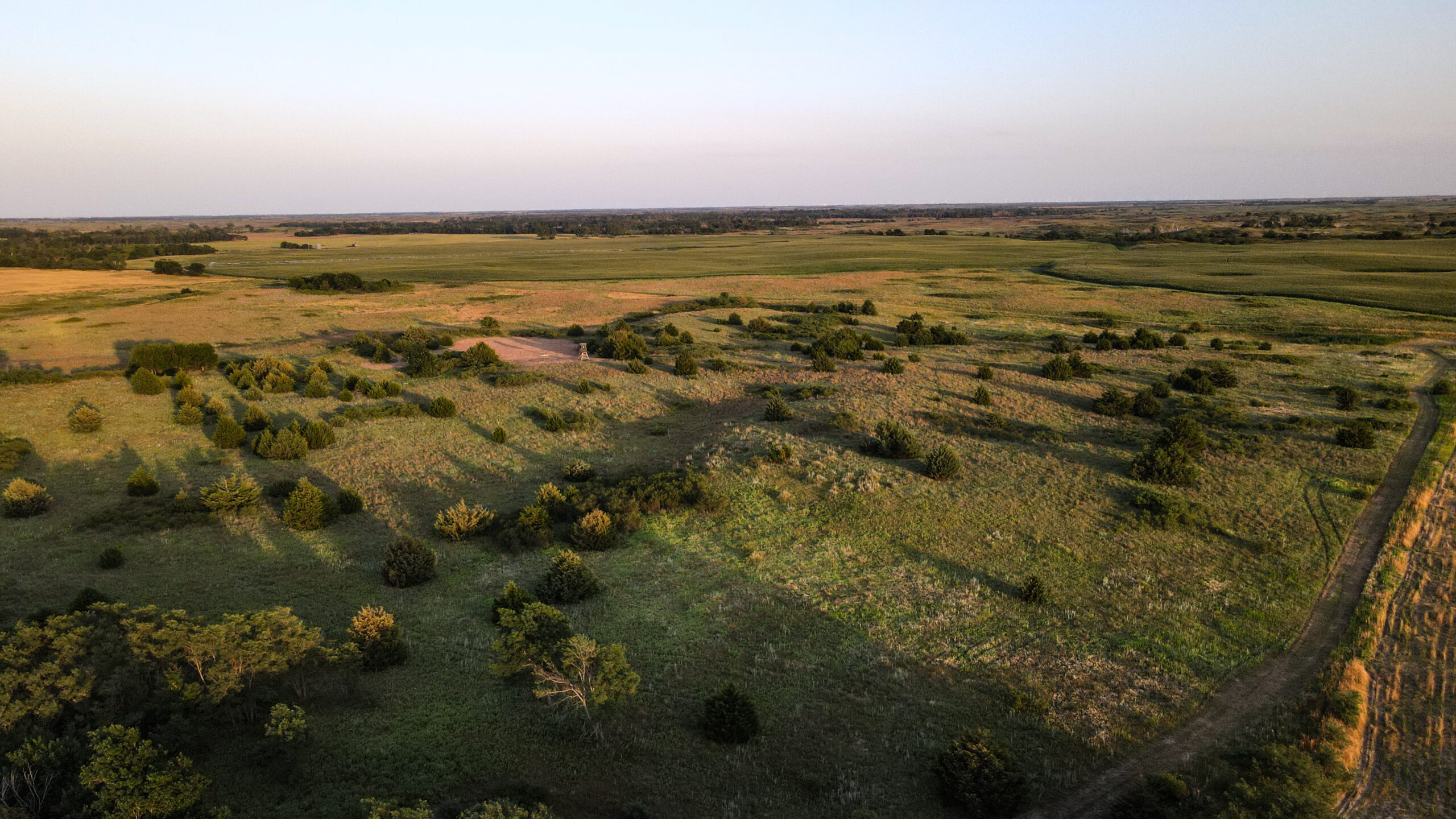 200+/- Acre Recreational & Agricultural Property | Pratt County, Kansas – Unit 16 Trophy Whitetail Country