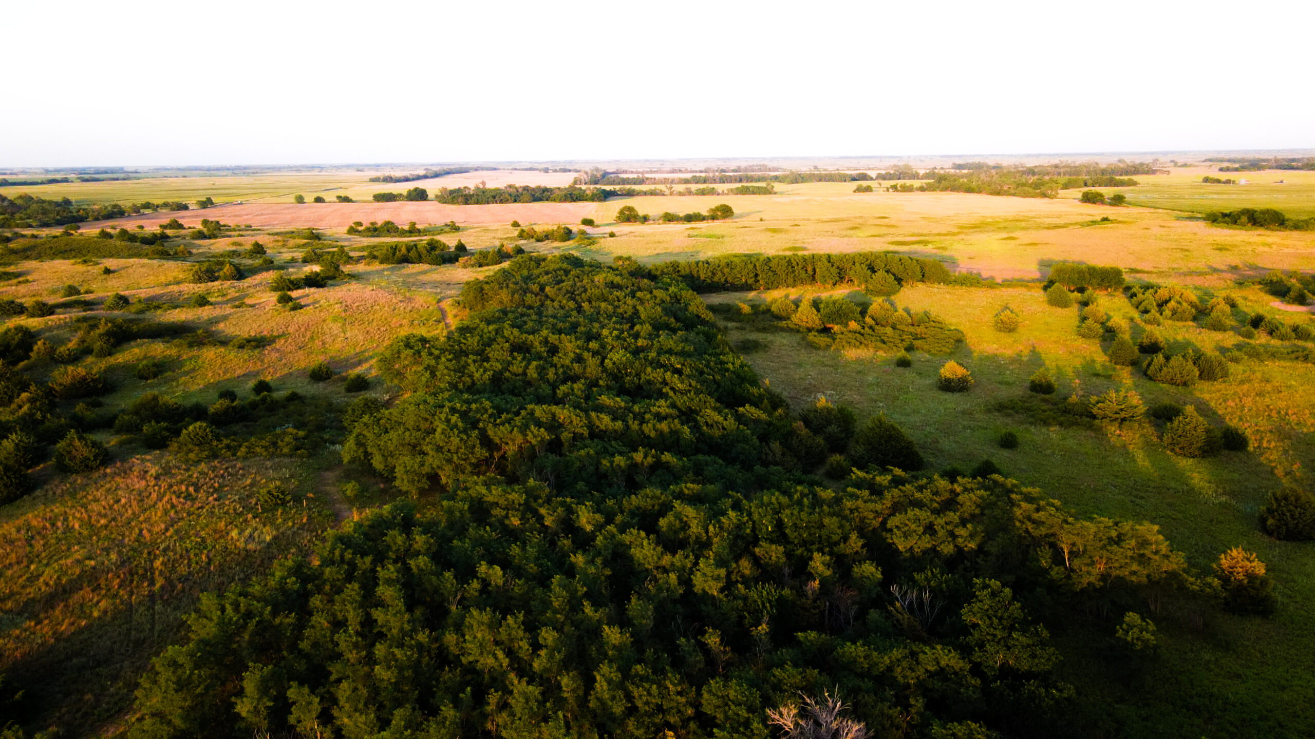 200+/- Acre Recreational & Agricultural Property | Pratt County, Kansas – Unit 16 Trophy Whitetail Country