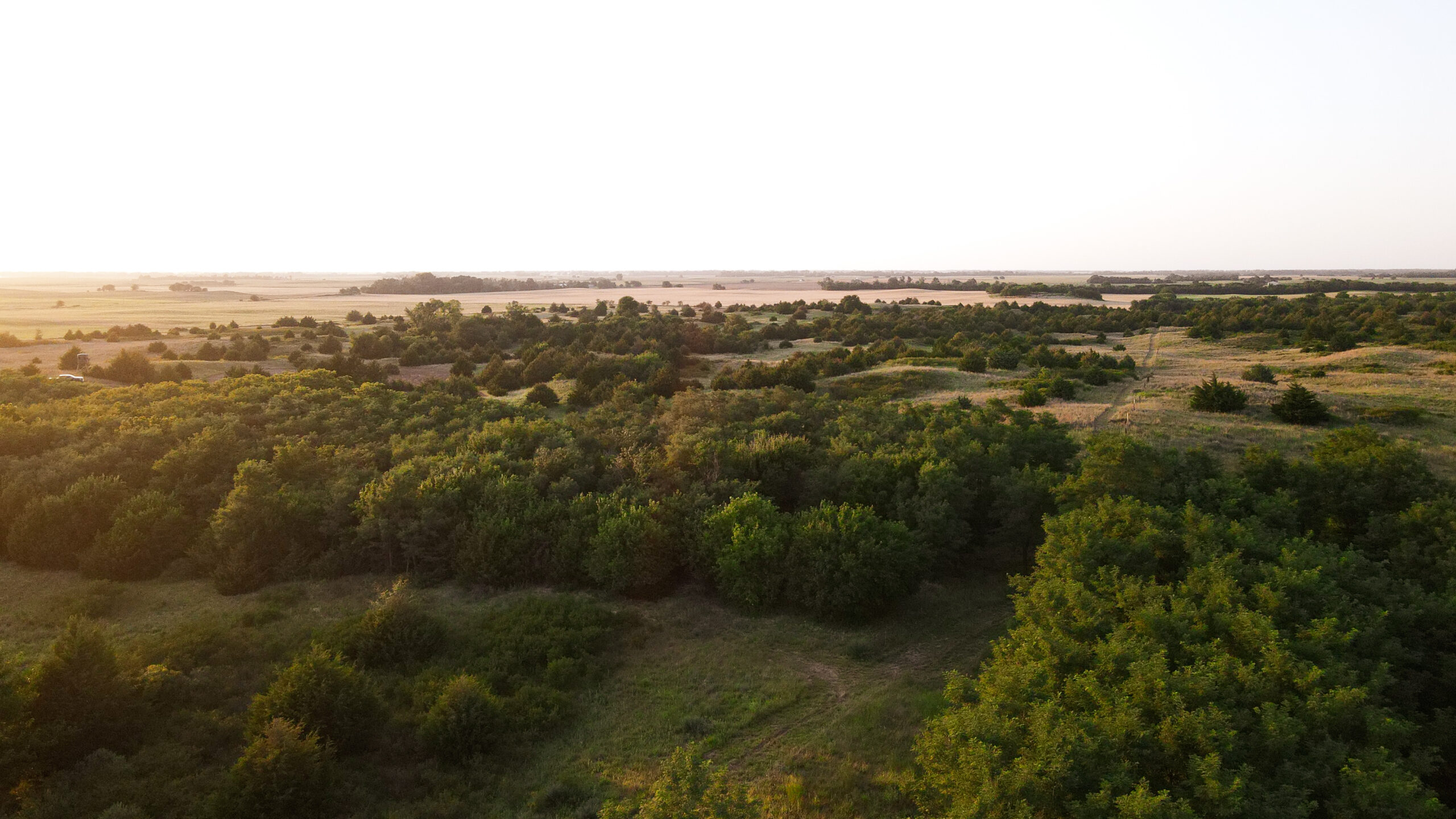 200+/- Acre Recreational & Agricultural Property | Pratt County, Kansas – Unit 16 Trophy Whitetail Country