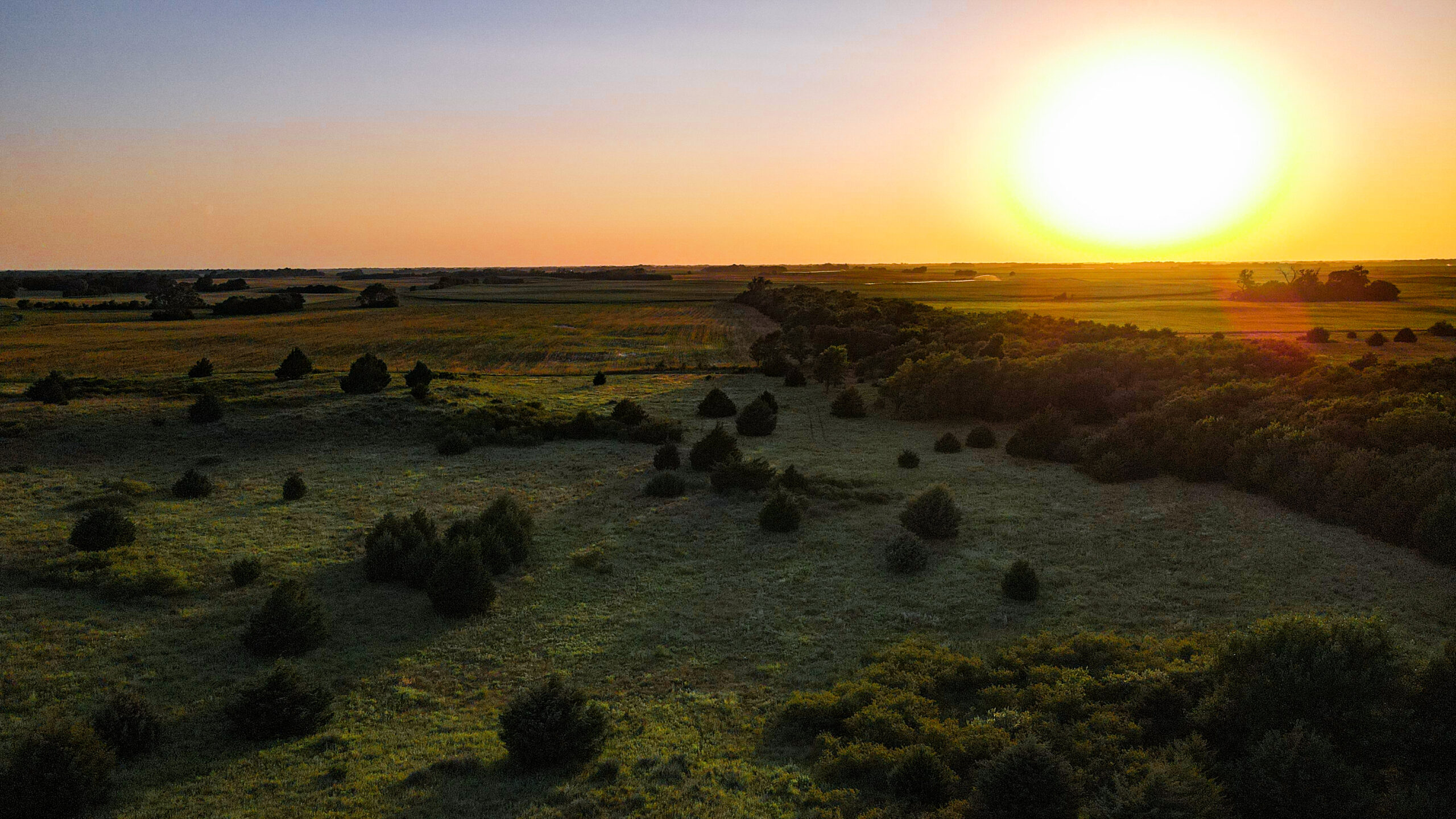 200+/- Acre Recreational & Agricultural Property | Pratt County, Kansas – Unit 16 Trophy Whitetail Country