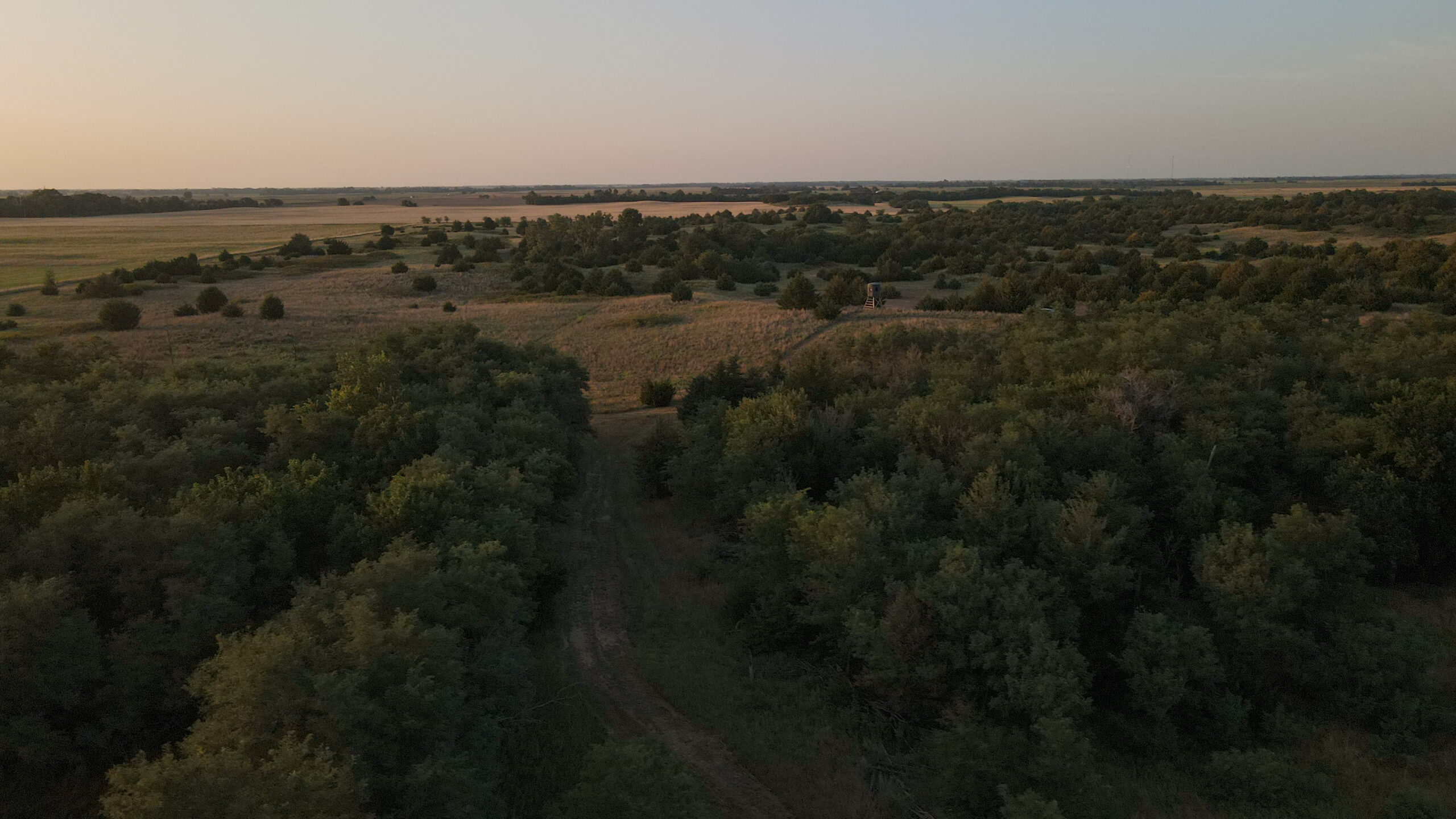 200+/- Acre Recreational & Agricultural Property | Pratt County, Kansas – Unit 16 Trophy Whitetail Country