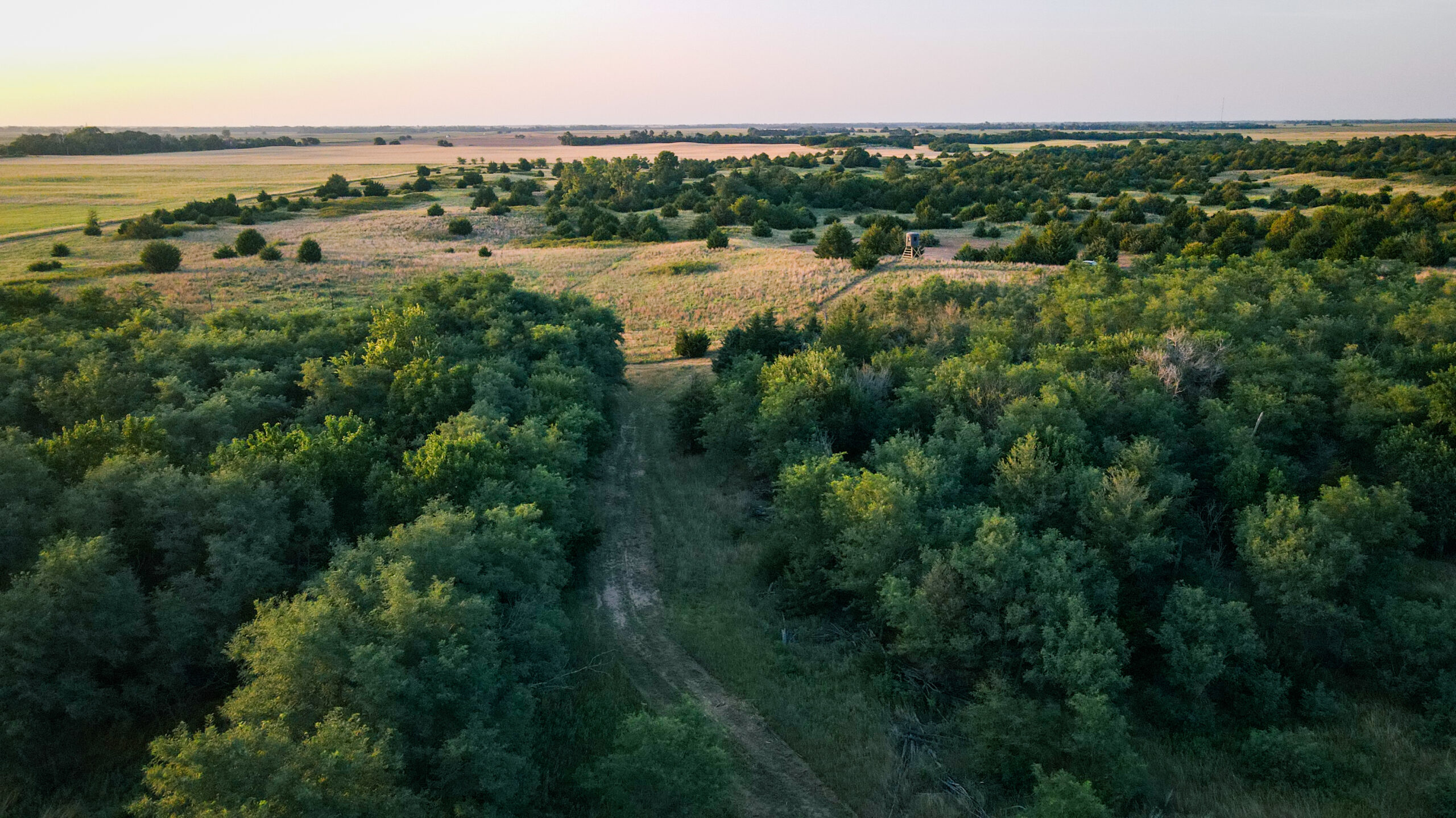 200+/- Acre Recreational & Agricultural Property | Pratt County, Kansas – Unit 16 Trophy Whitetail Country