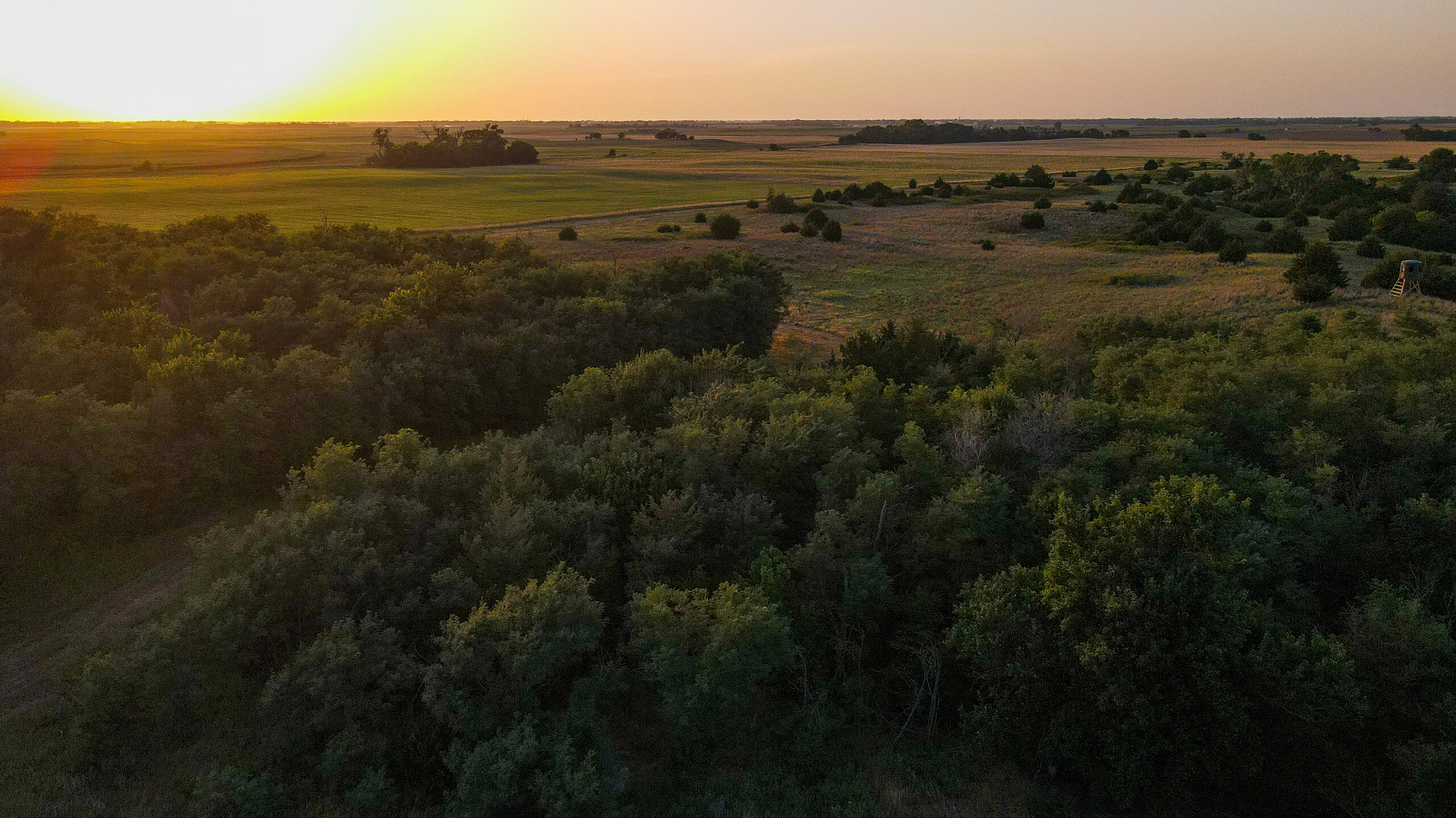 200+/- Acre Recreational & Agricultural Property | Pratt County, Kansas – Unit 16 Trophy Whitetail Country