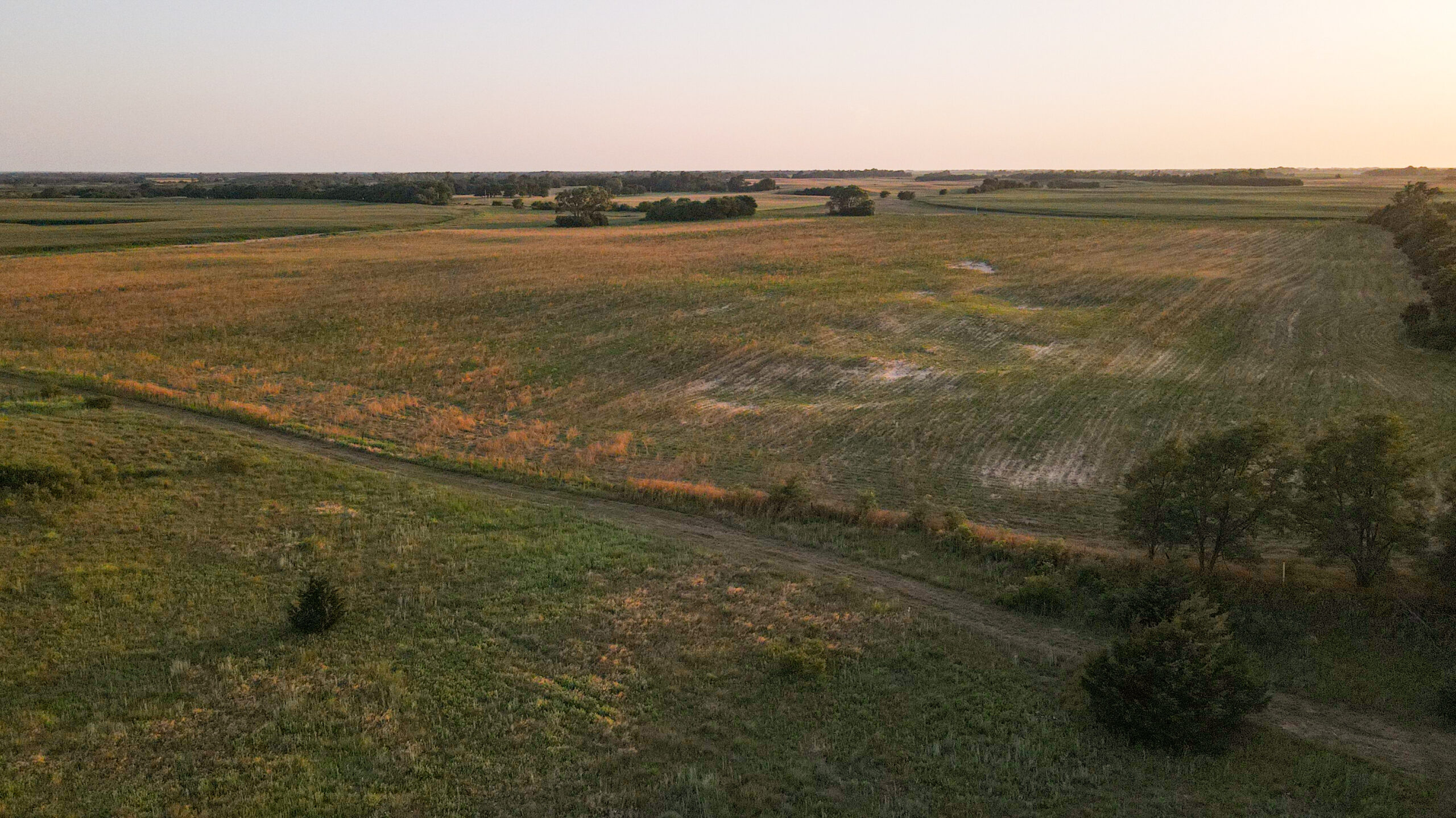 200+/- Acre Recreational & Agricultural Property | Pratt County, Kansas – Unit 16 Trophy Whitetail Country