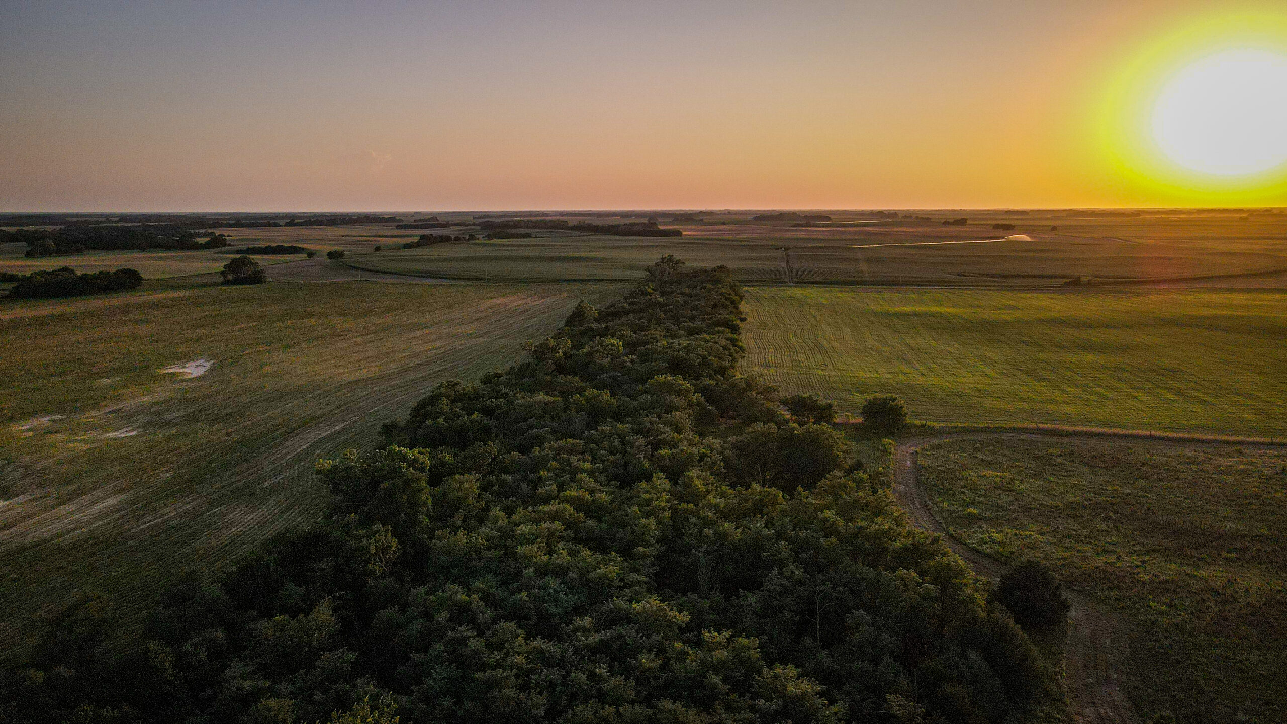 200+/- Acre Recreational & Agricultural Property | Pratt County, Kansas – Unit 16 Trophy Whitetail Country