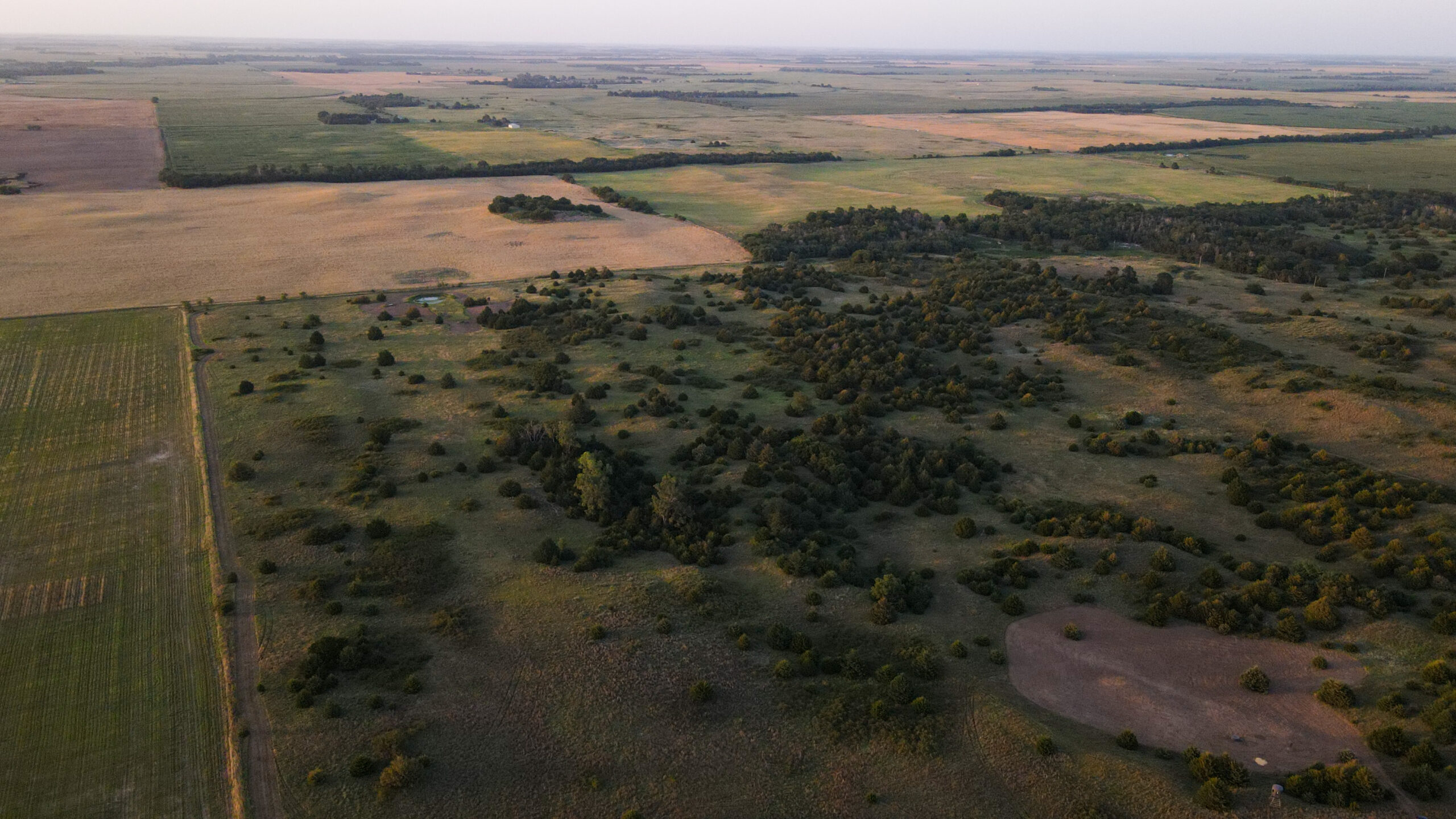 200+/- Acre Recreational & Agricultural Property | Pratt County, Kansas – Unit 16 Trophy Whitetail Country