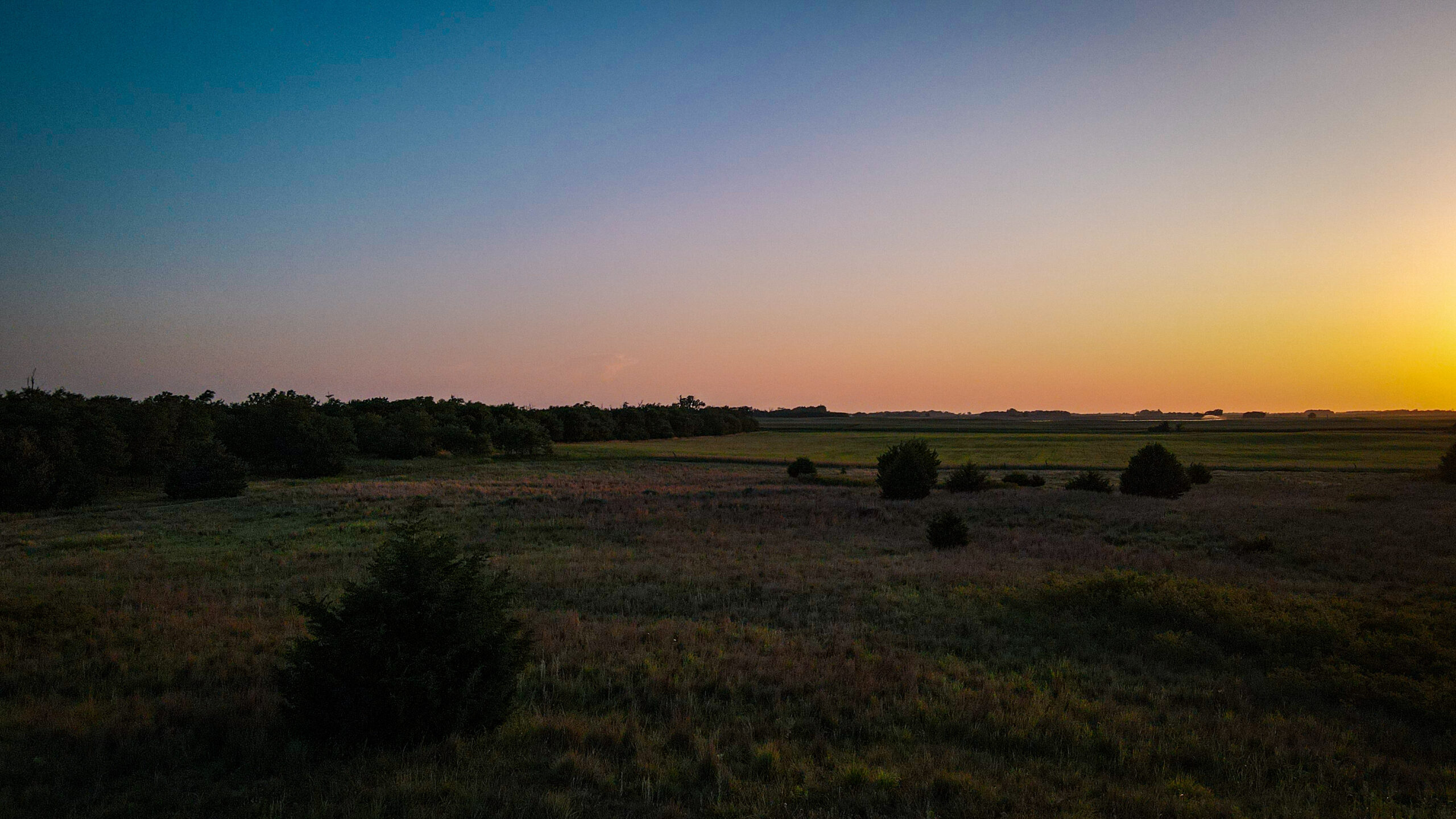 200+/- Acre Recreational & Agricultural Property | Pratt County, Kansas – Unit 16 Trophy Whitetail Country
