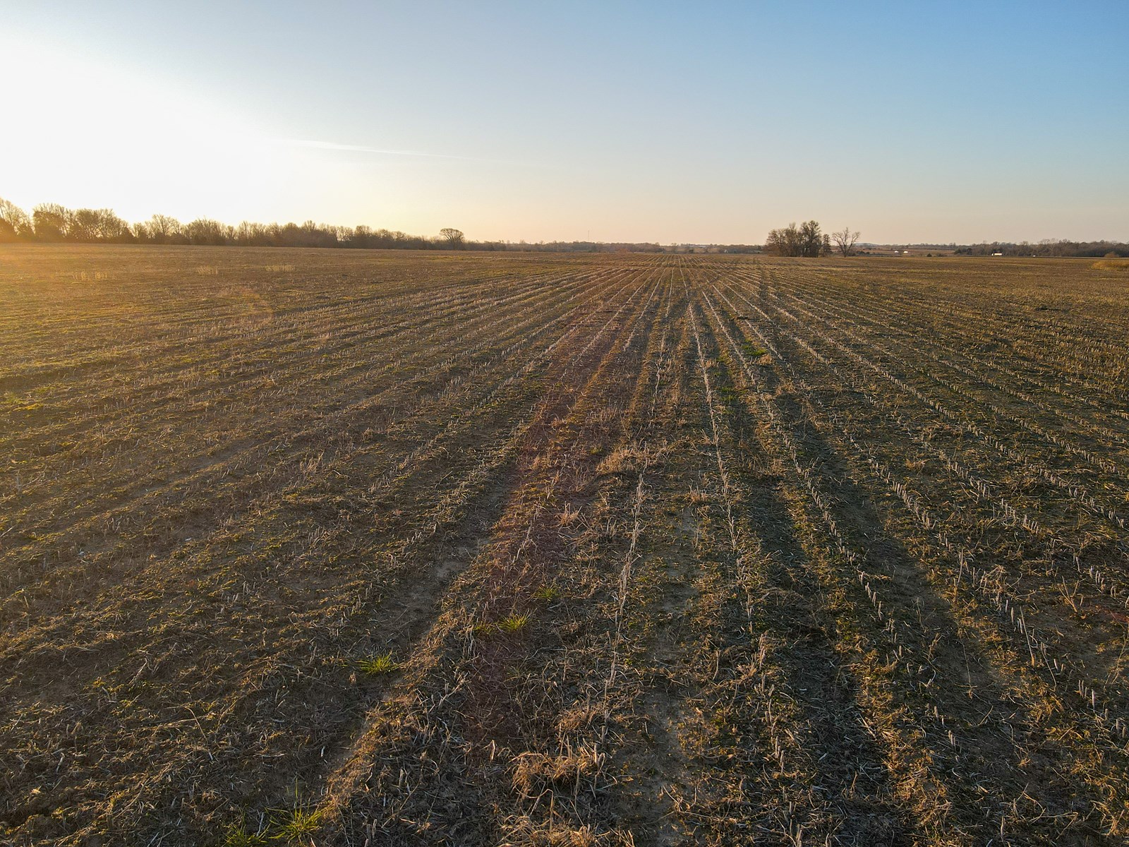 Land for Sale in Barton County