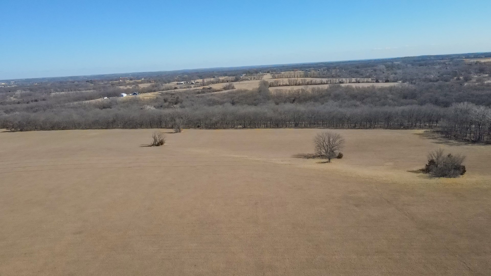 68.4+\- acres For Sale Cass County Mo