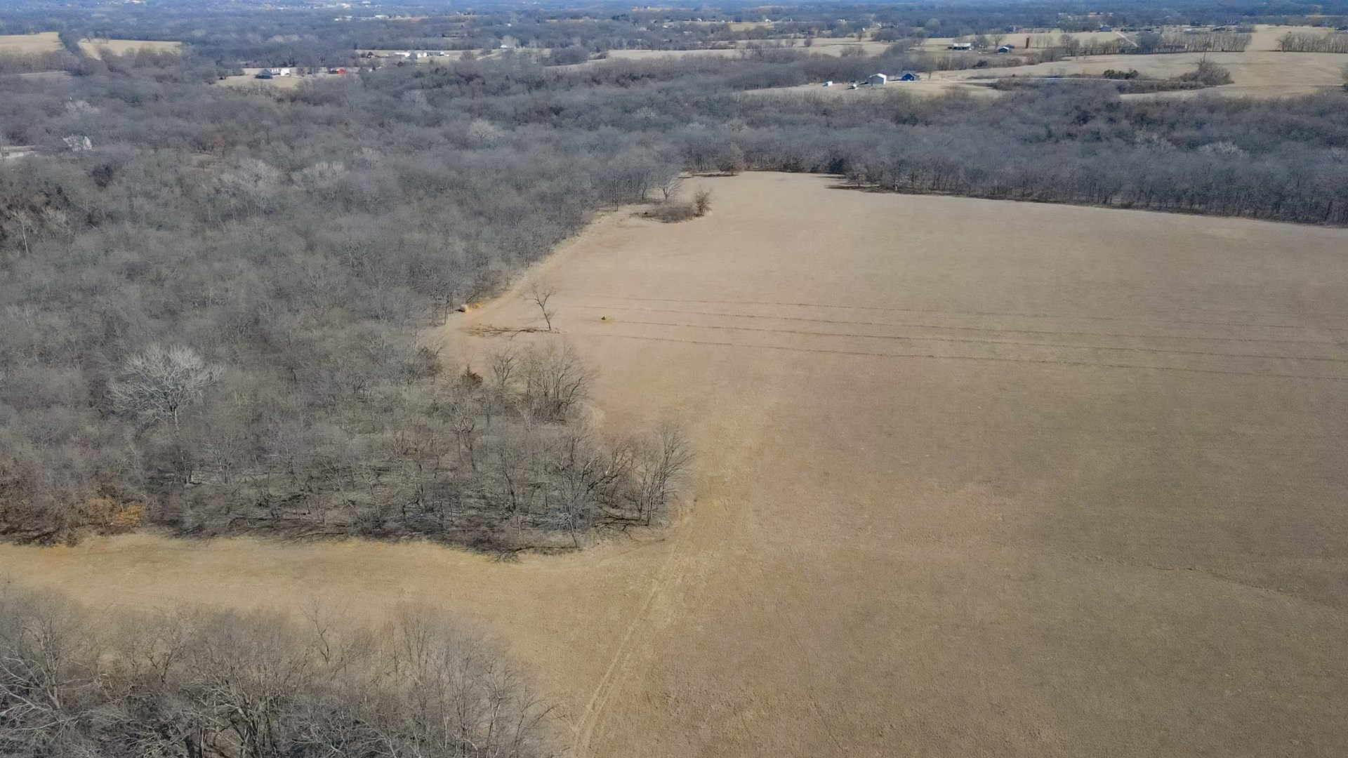 68.4+\- acres For Sale Cass County Mo