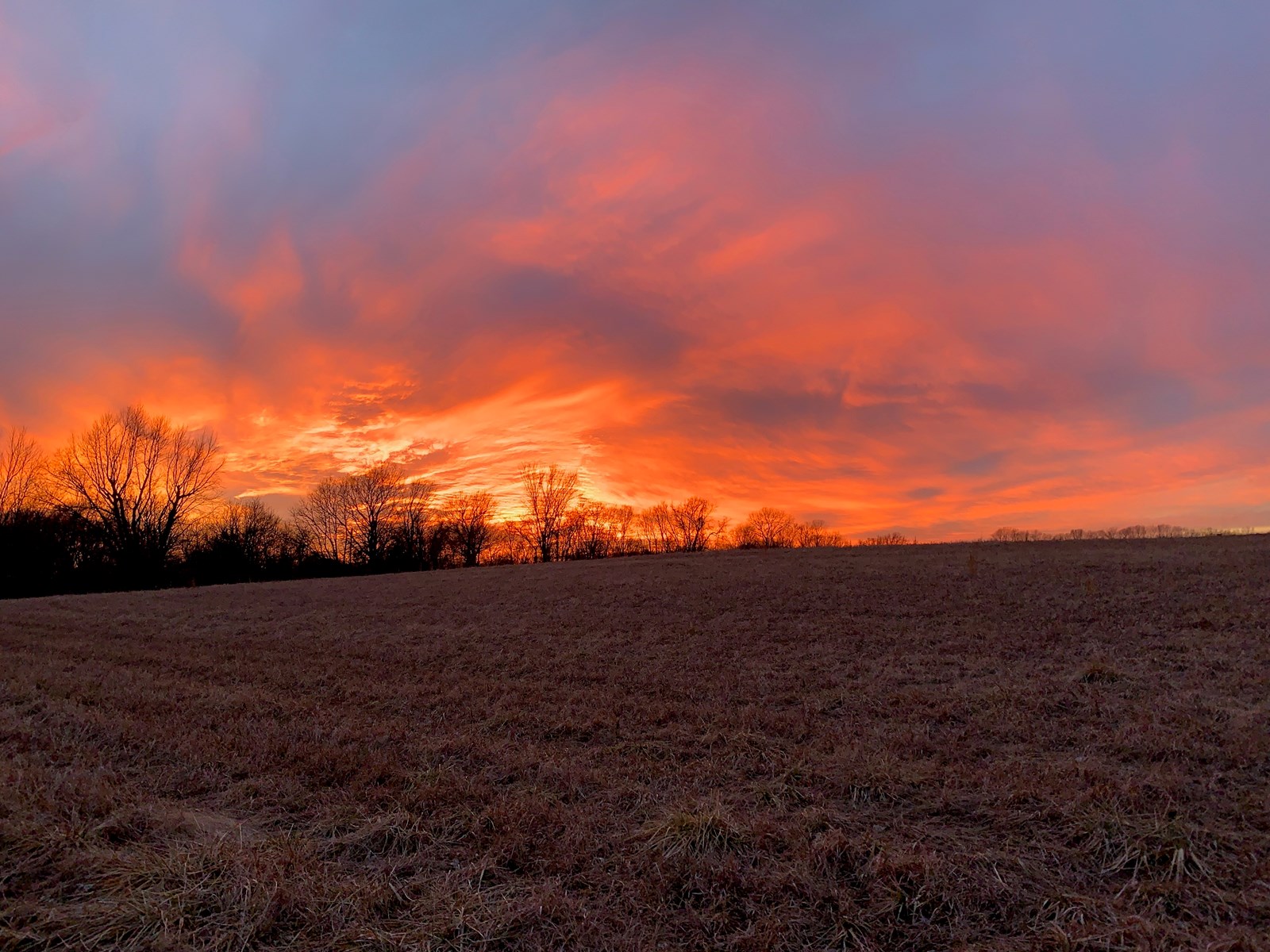 68.4+\- acres For Sale Cass County Mo