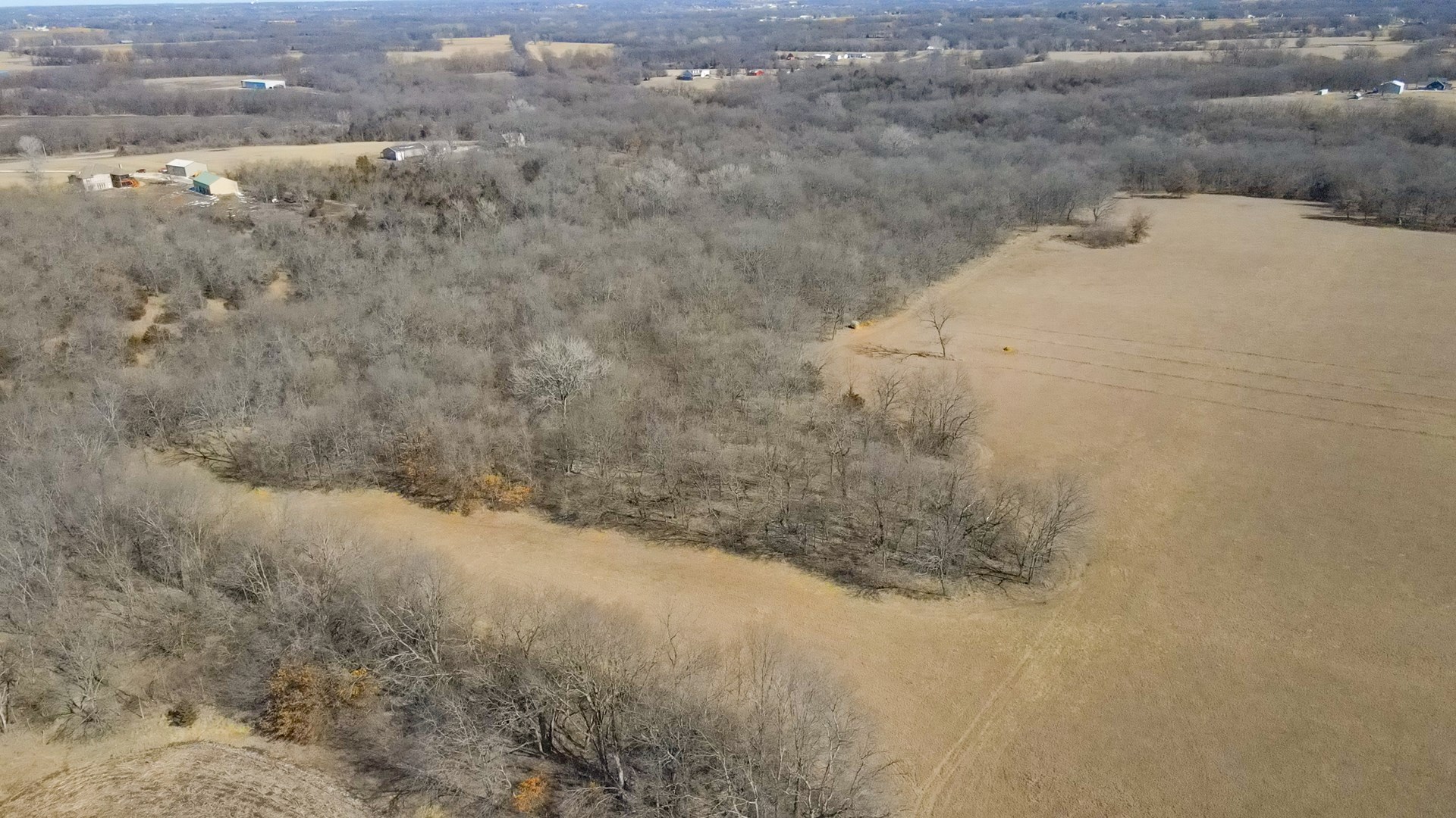 68.4+\- acres For Sale Cass County Mo