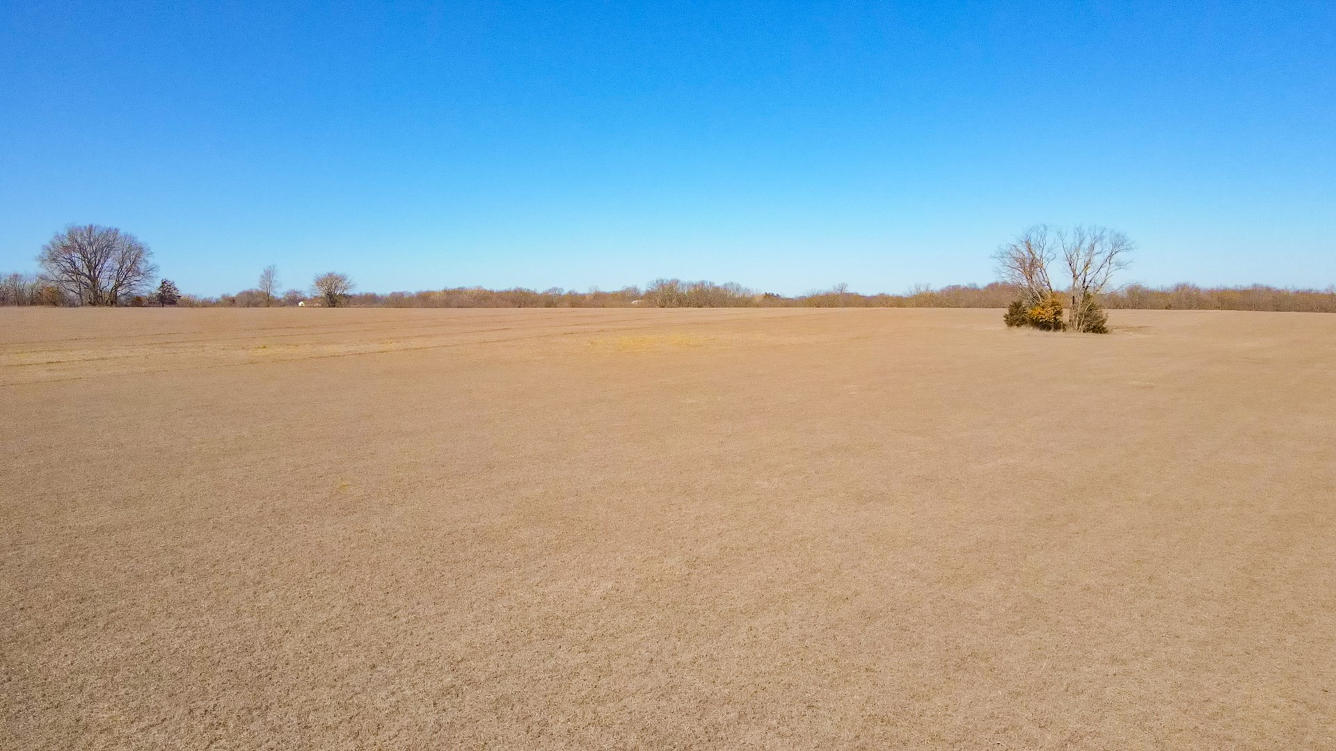 68.4+\- acres For Sale Cass County Mo