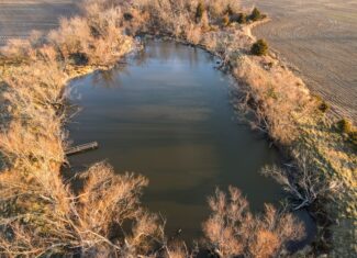 Land for Sale in Barton County