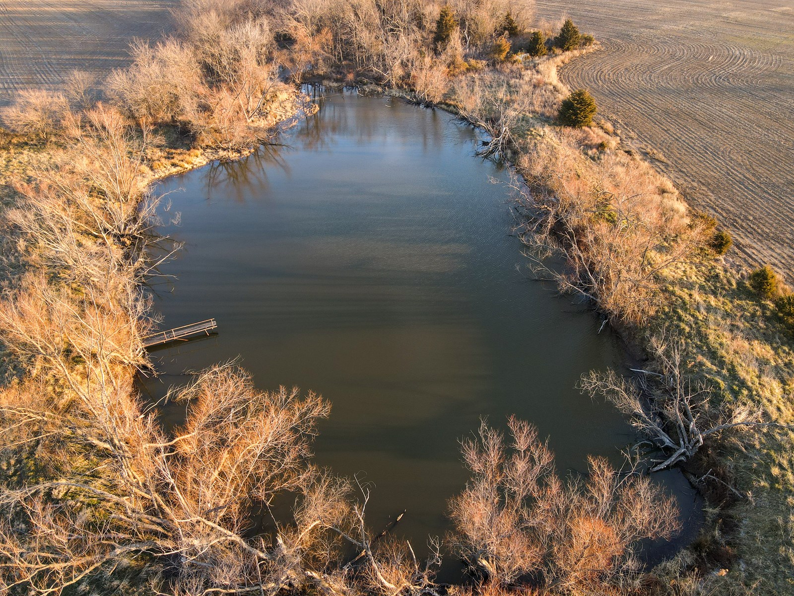 Land for Sale in Barton County
