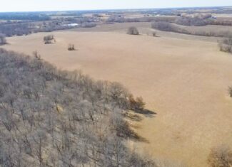 68.4+\- acres For Sale Cass County Mo