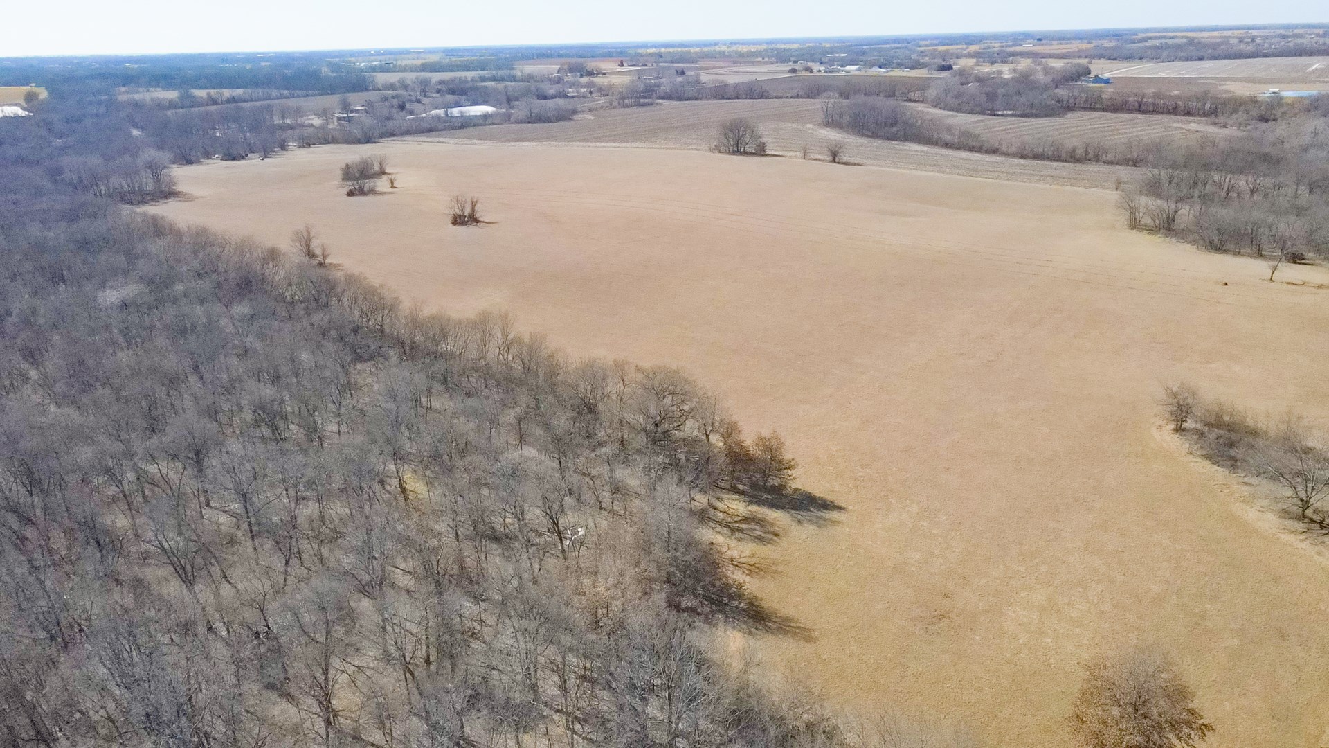 68.4+\- acres For Sale Cass County Mo