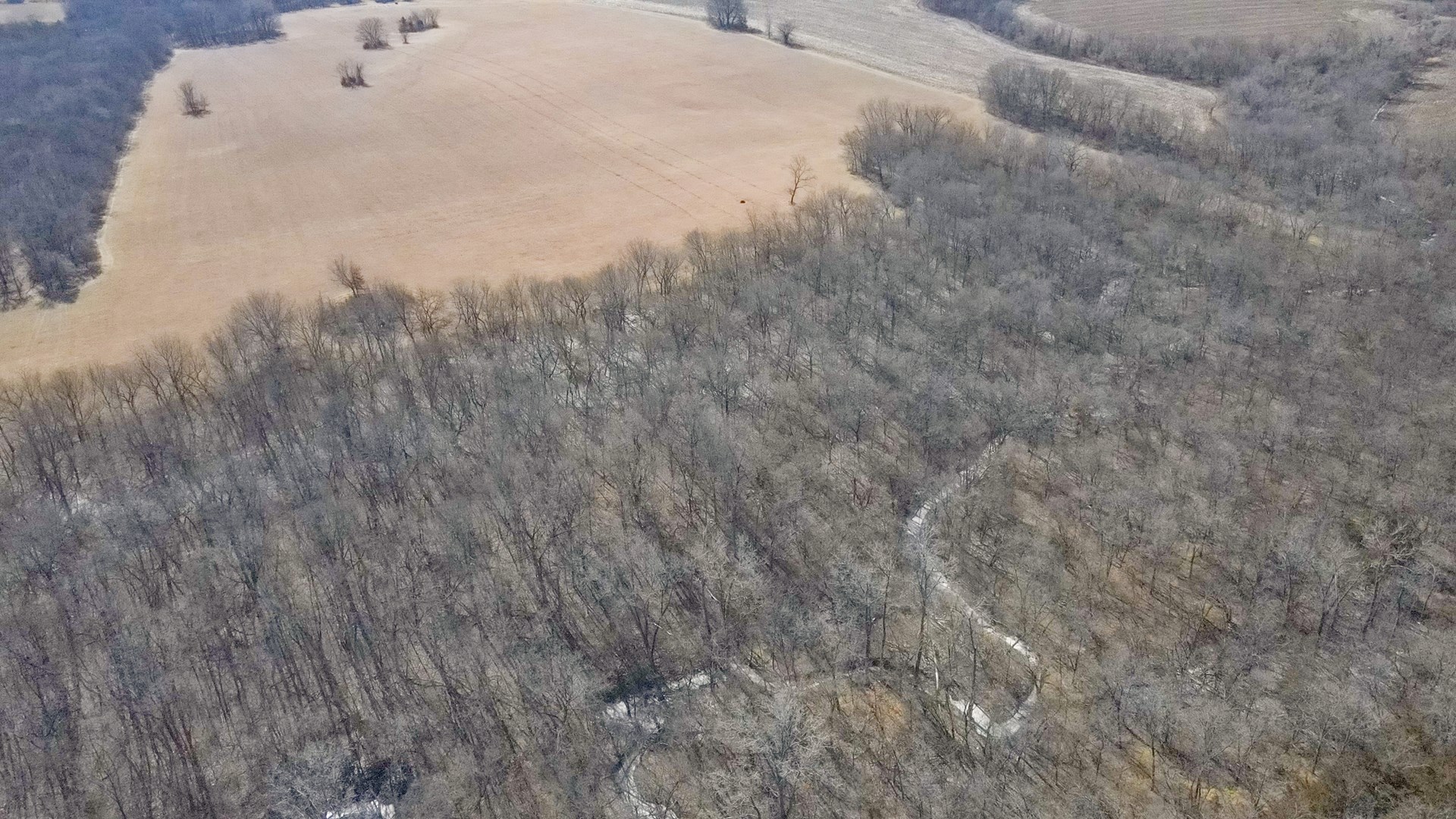 68.4+\- acres For Sale Cass County Mo