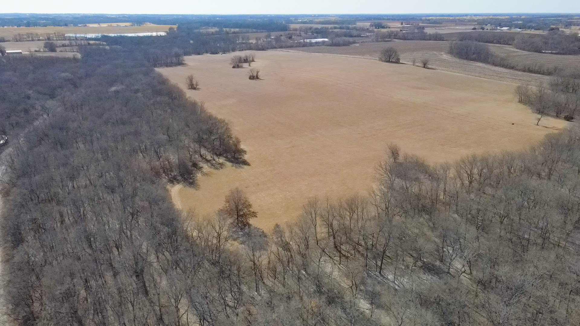 68.4+\- acres For Sale Cass County Mo