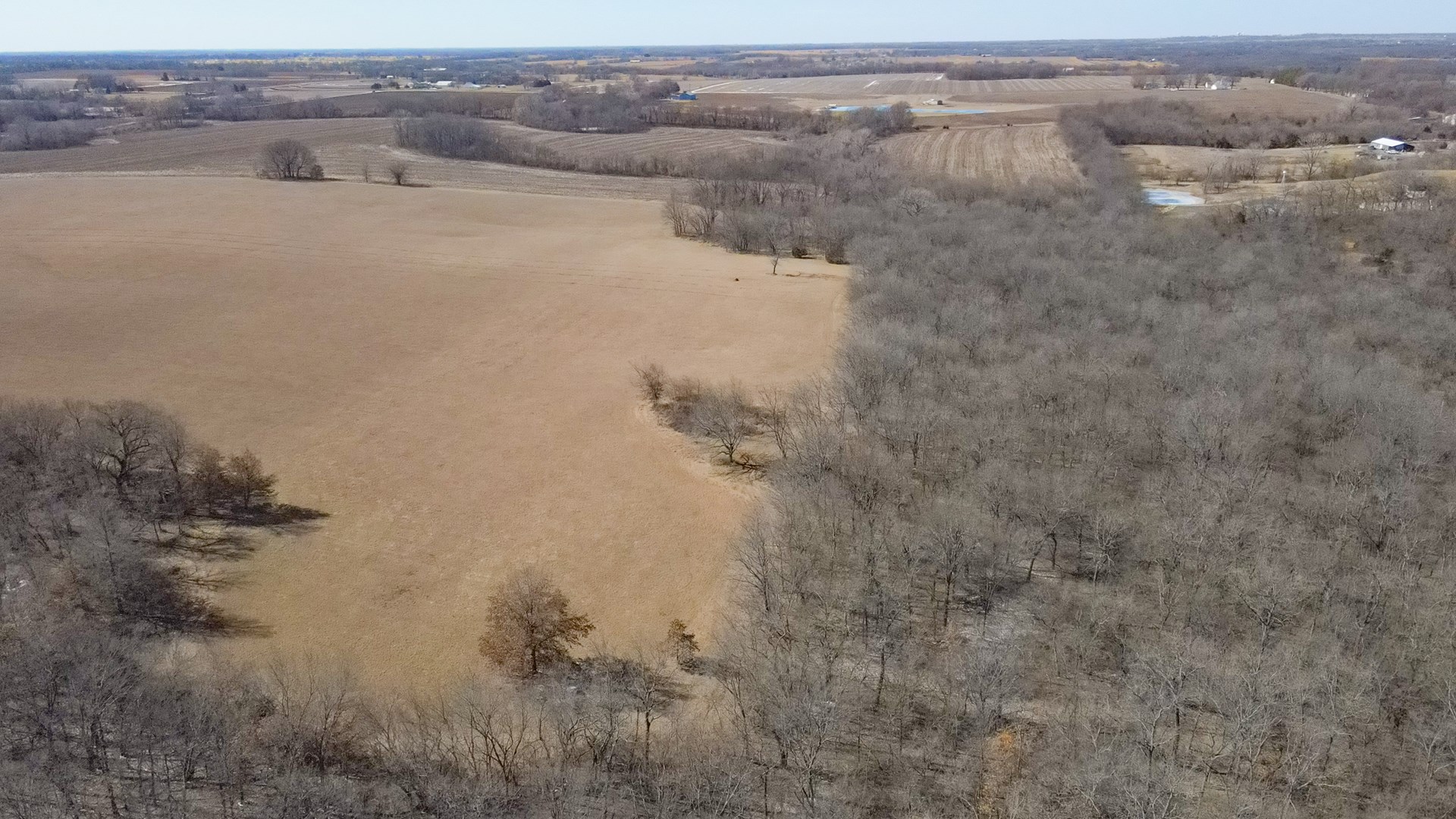 68.4+\- acres For Sale Cass County Mo