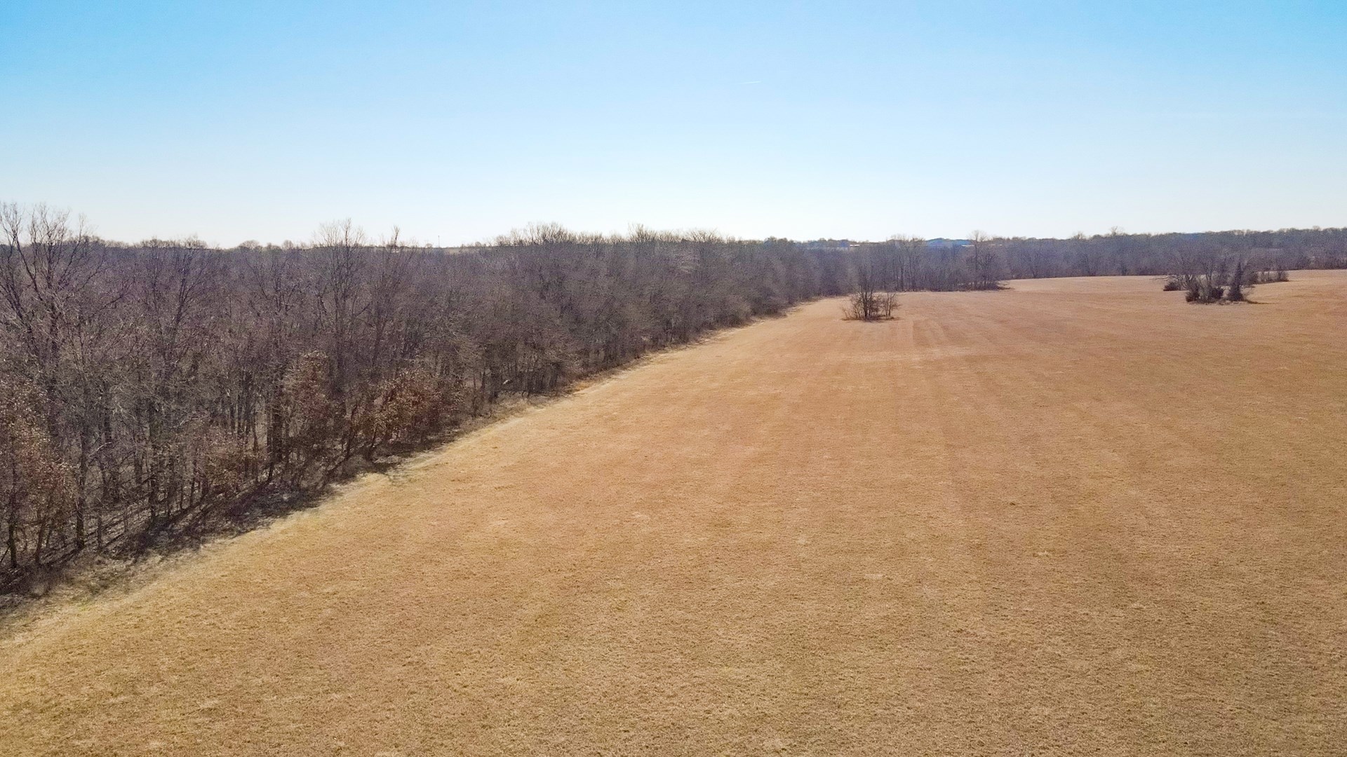 68.4+\- acres For Sale Cass County Mo