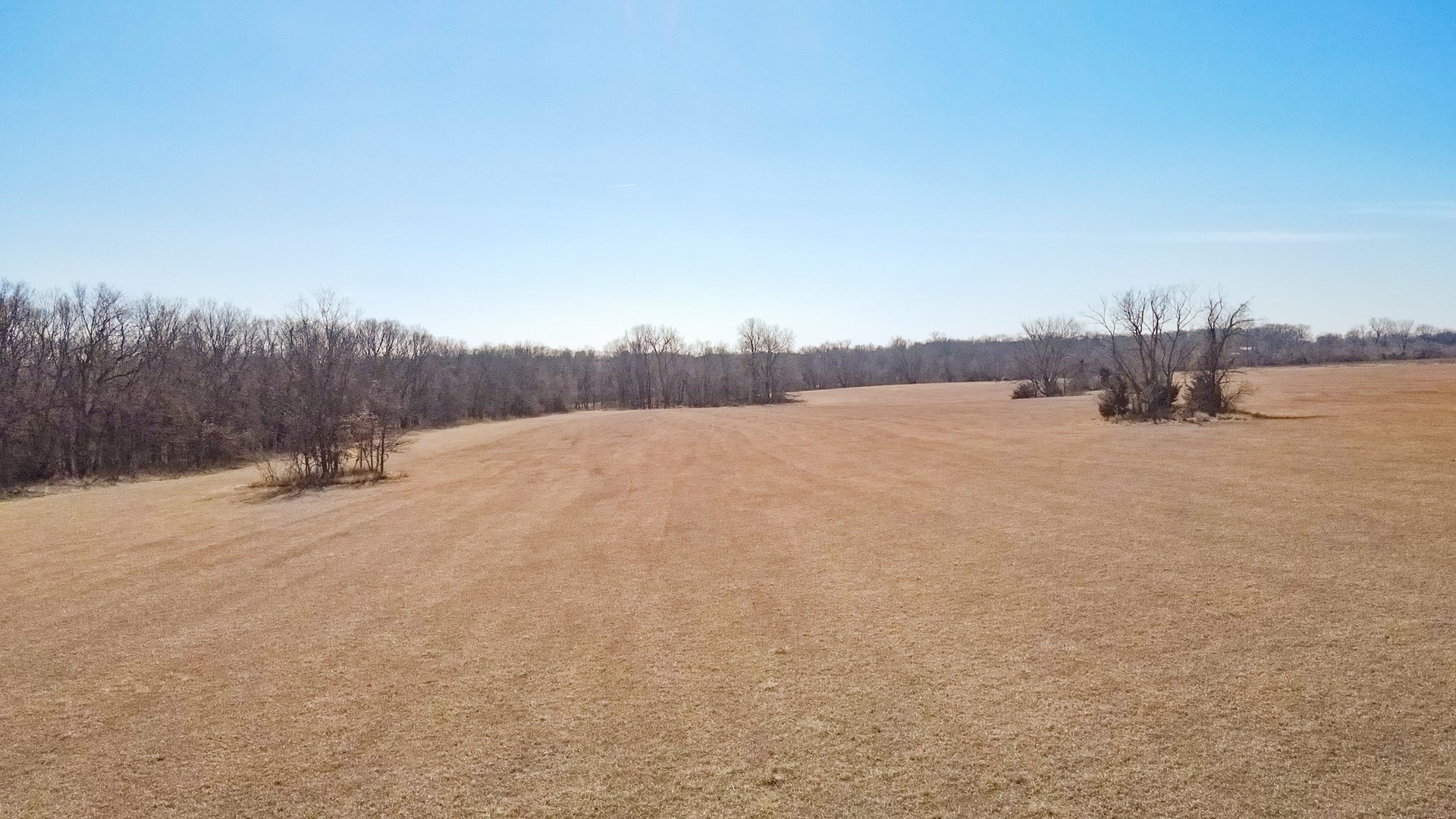 68.4+\- acres For Sale Cass County Mo