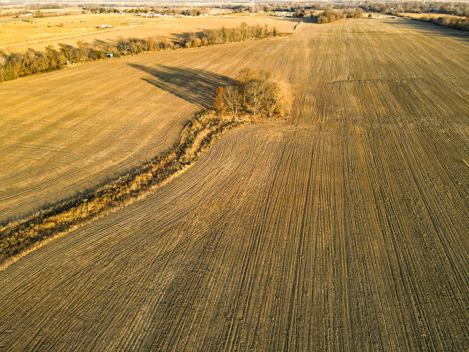 Land for Sale in Barton County